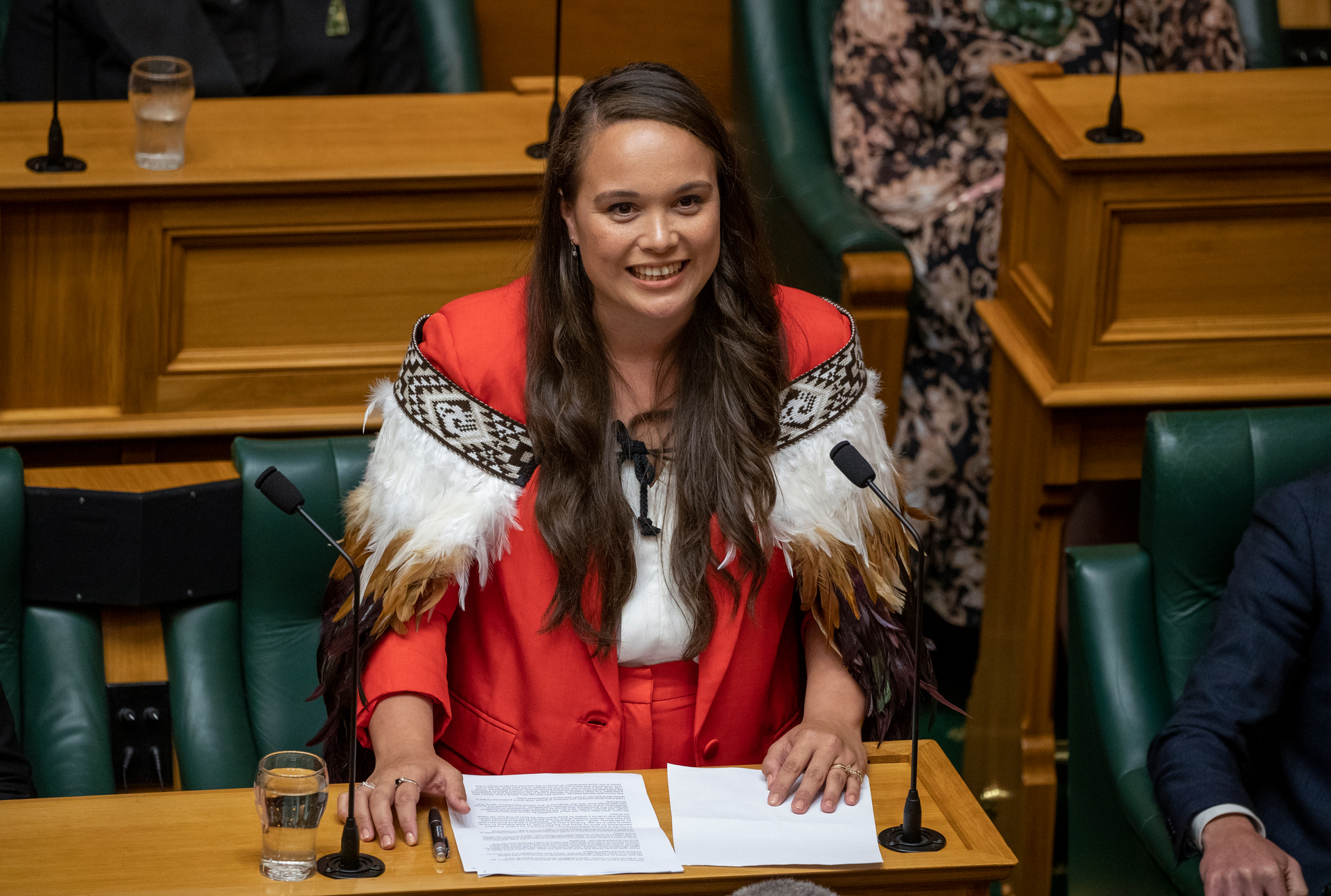 Manurewa MP Arena Williams brawled her way into Parliament. Photo / Mark Mitchell