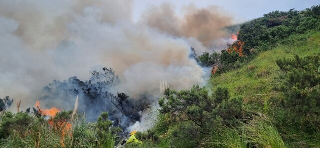 A bush fire off Mohaka Township Rd in Northern Hawke's Bay on Thursday evening.