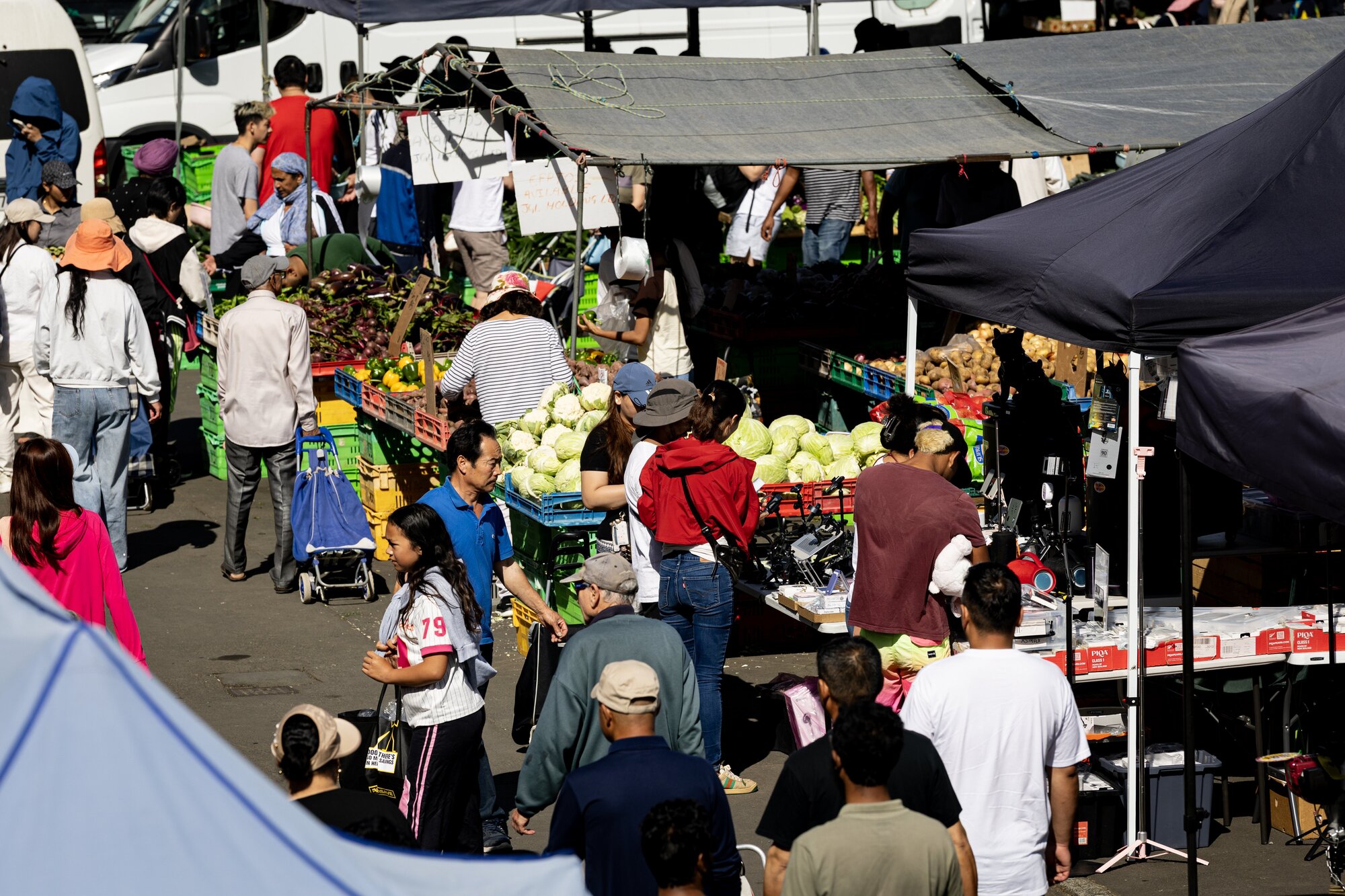 Avondale markets in full swing. Photo / Dean Purcell