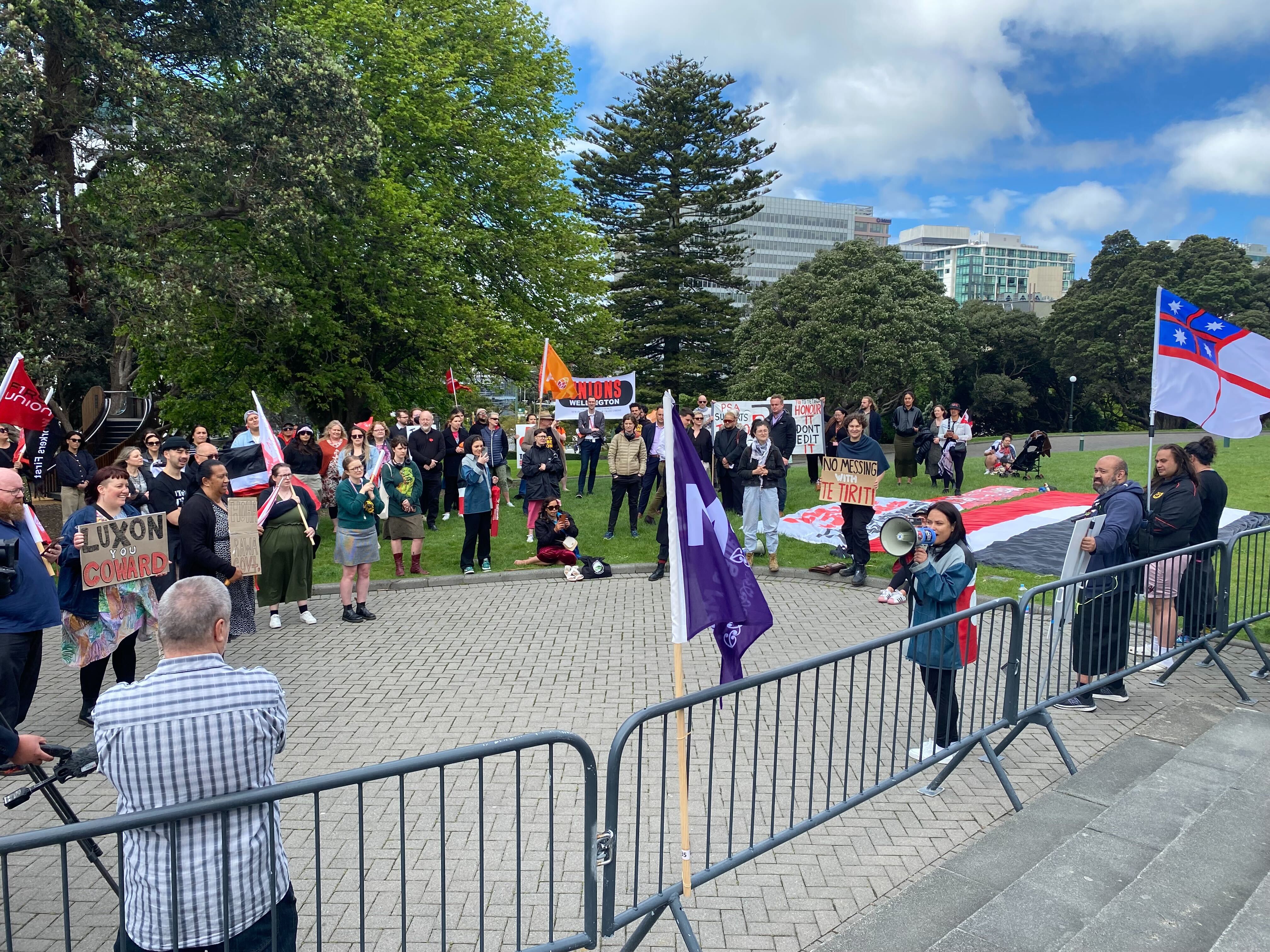 Protesters gather outside Parliament in opposition to the Treaty Principles Bill. Photo / Julia Gabel