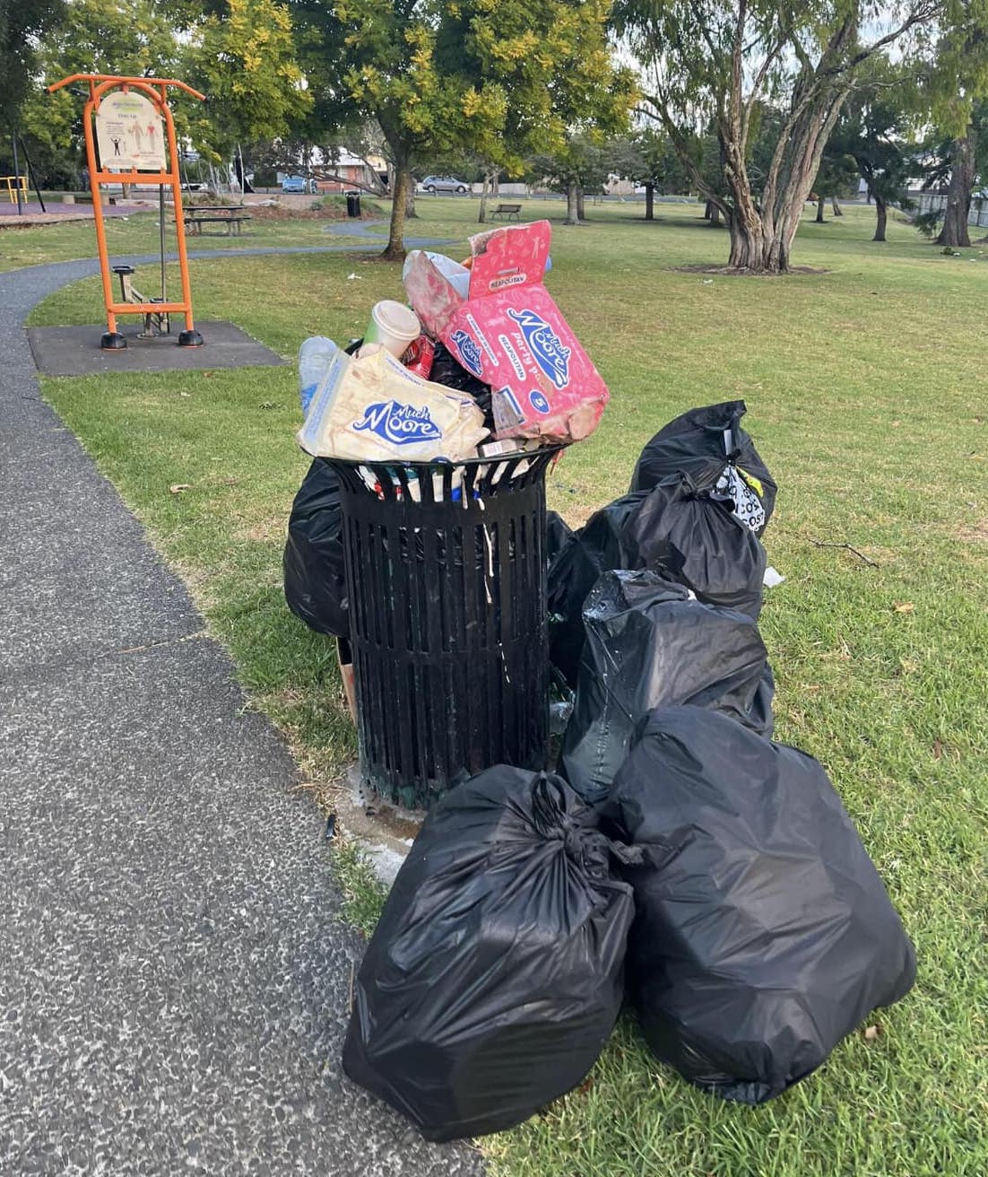Overflowing rubbish in Avondale's Eastdale Reserve. Photo / Avondale - Let's Clean Up Our Act