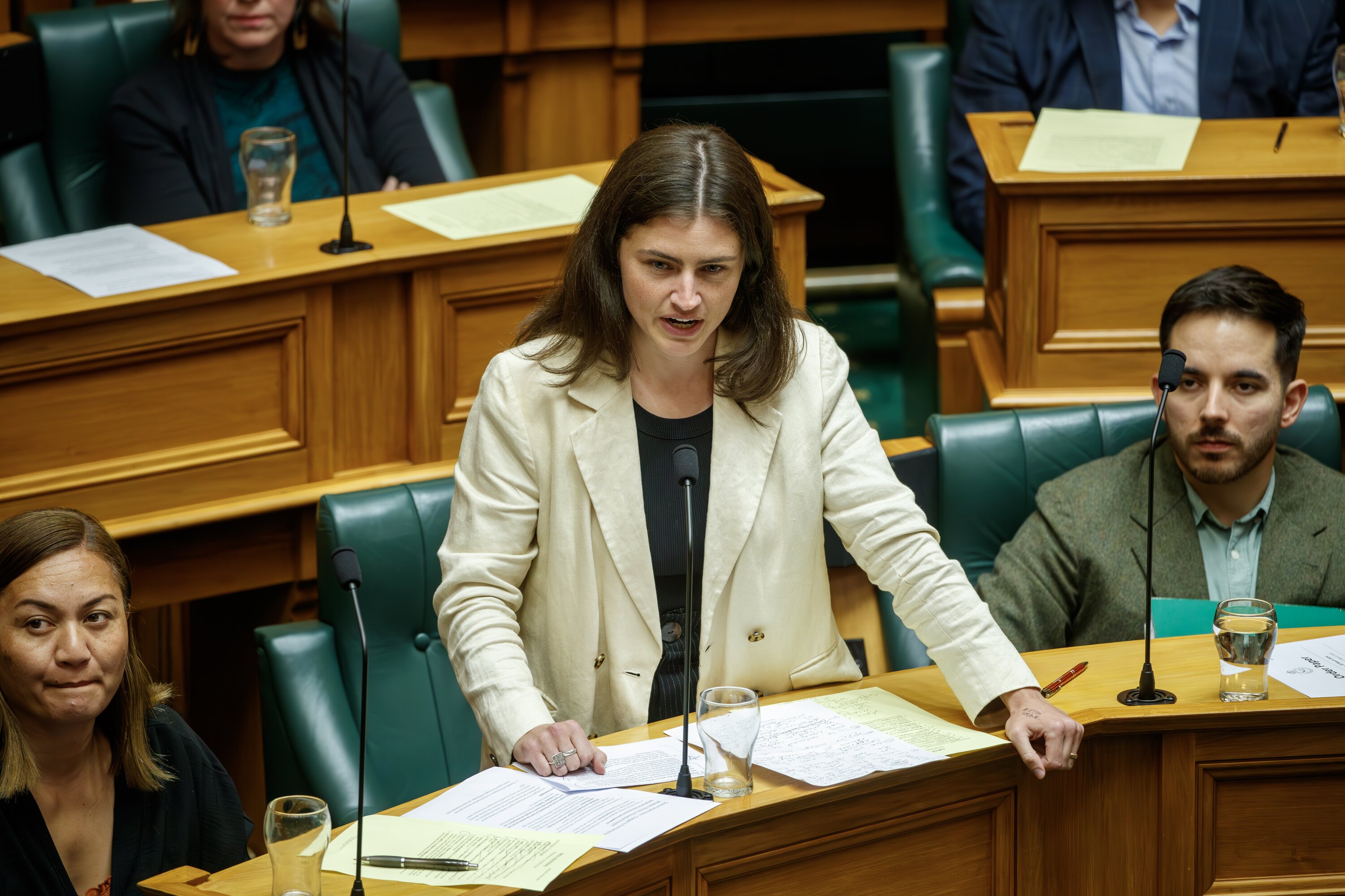 Greens co-leader Chlöe Swarbrick doesn't want to make excuses for Genter's behaviour. Photo / Mark Mitchell