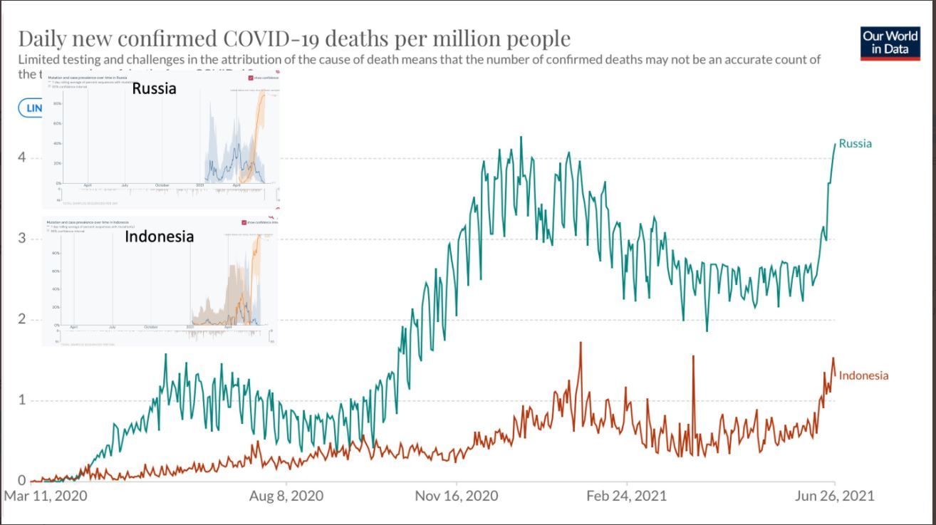 Graph showing the impact of the delta variant on populations in Indonesia and Russia, where vaccinations have been limited.