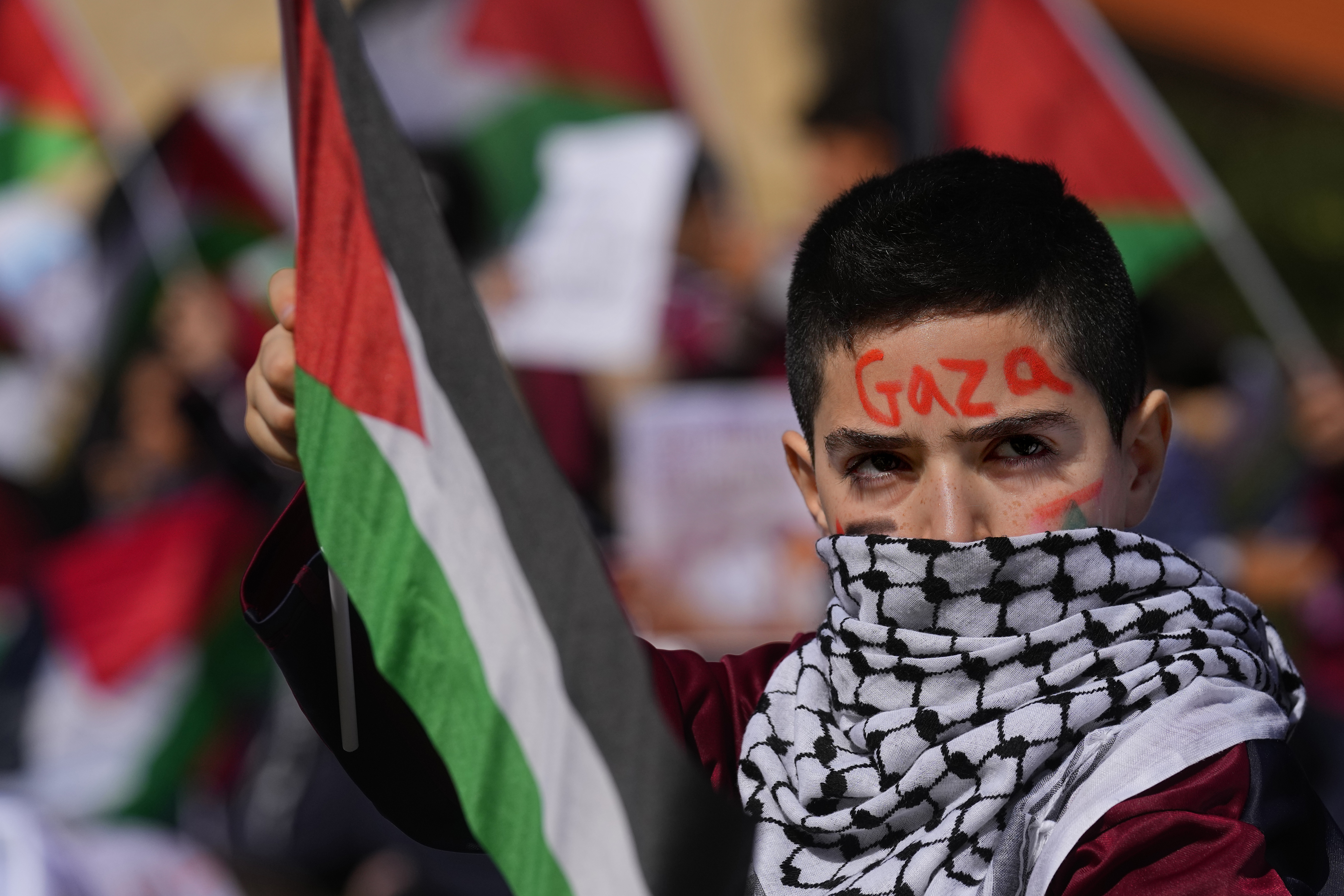 A boy holds a Palestinian flag during a protest against Israel's attack on the Gaza Strip. Photo / AP
