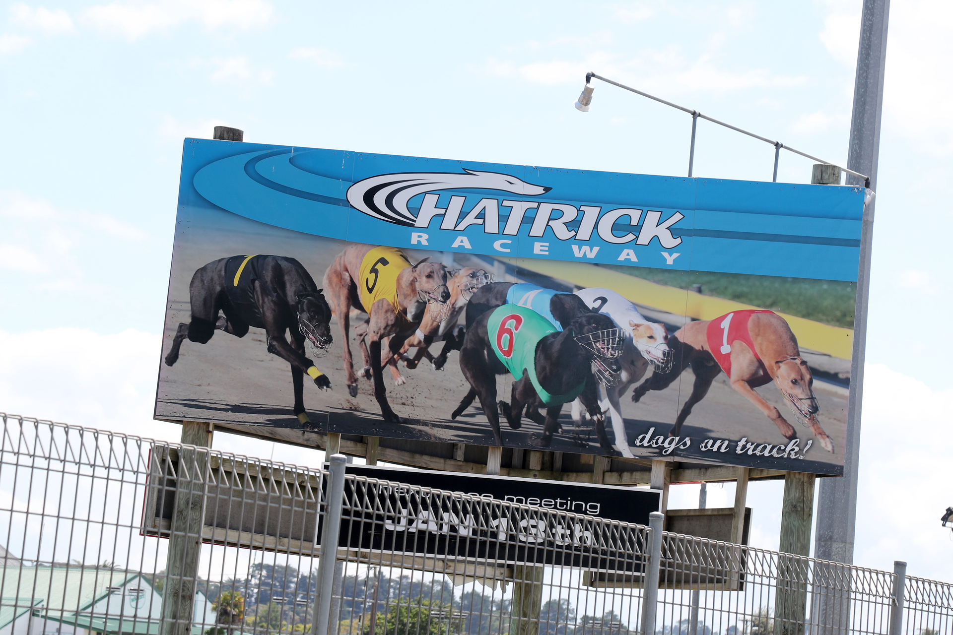 Ten dogs that raced at Hatrick Raceway in Whanganui have died this season alone. Photo / File