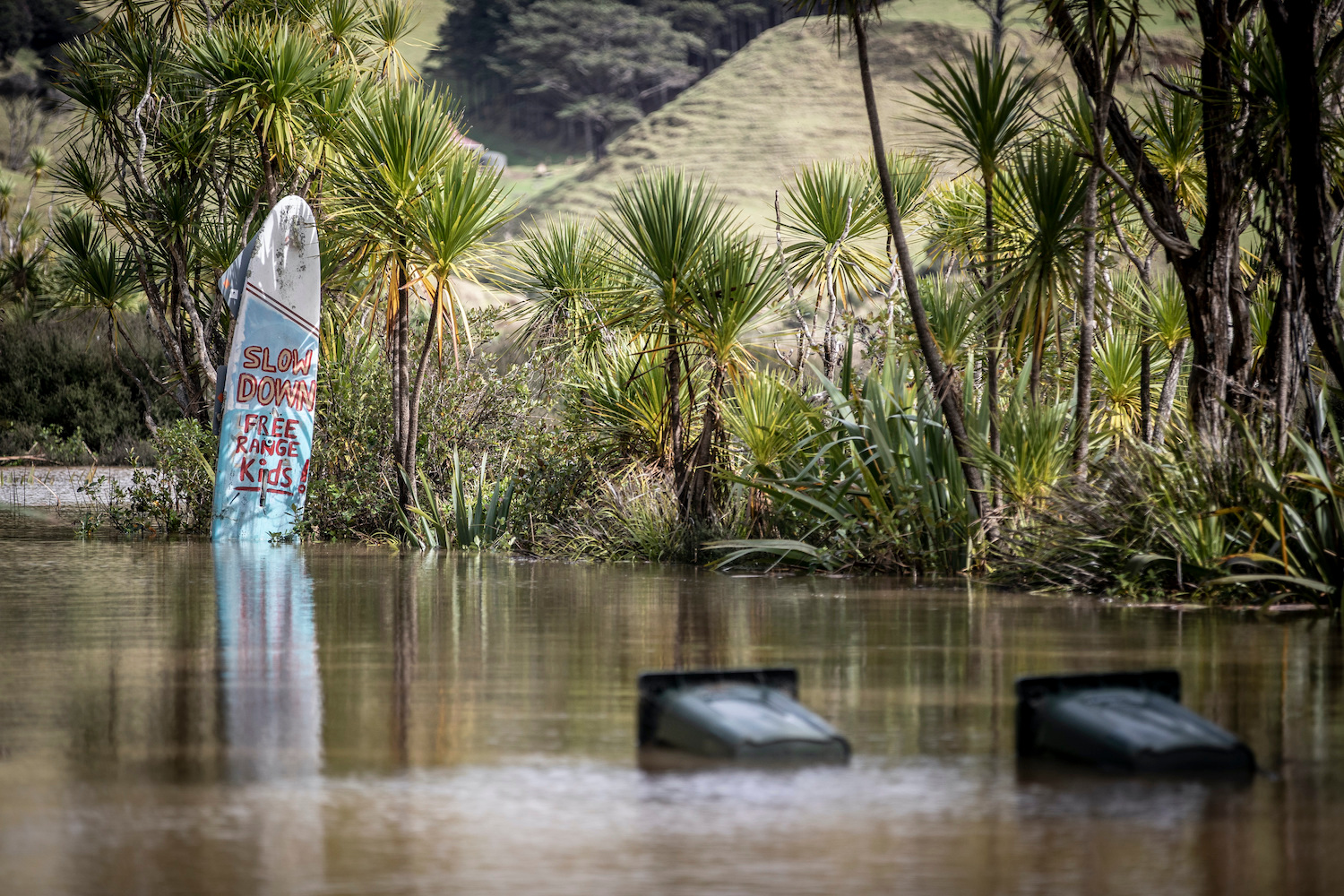 Flooding Te Henga, Bethells Road. Photo / Michael Craig