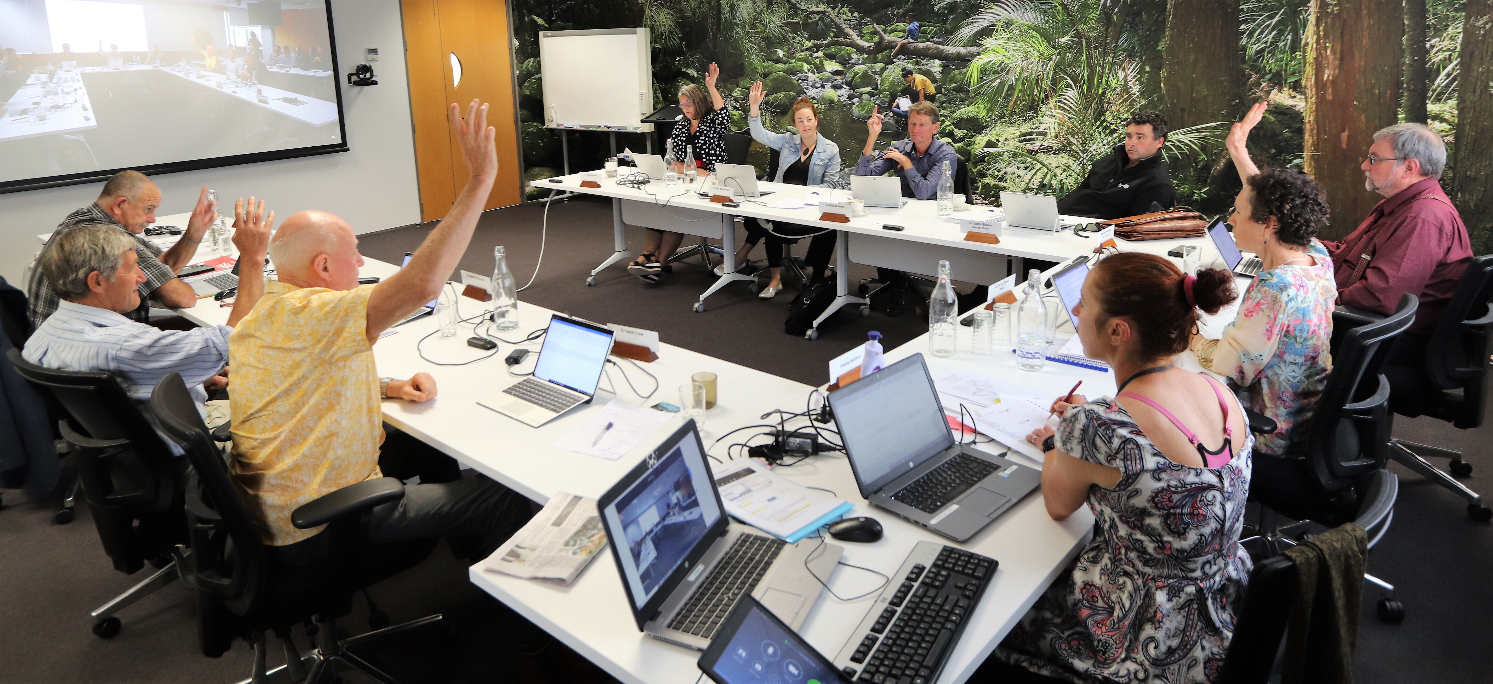 Northland Regional Council votes for its Te Raki Māori Constituency in 2020. Photo / NRC