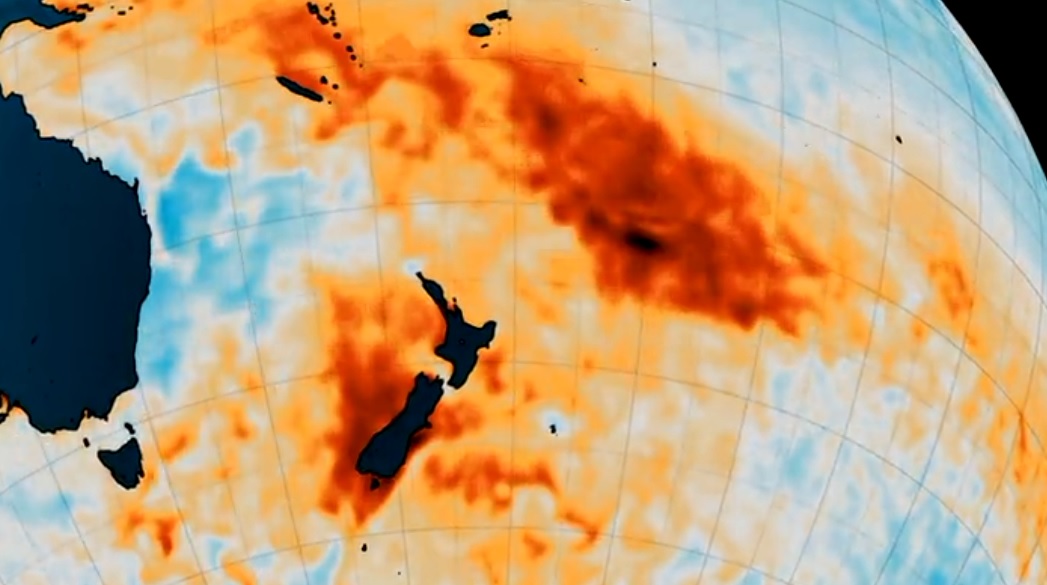 New Zealand’s waters have been experiencing relentless marine heatwaves over recent years, causing cascading losses in mussel and kelp beds, and driving tropical fish drifting into normally colder climes. Image / Niwa