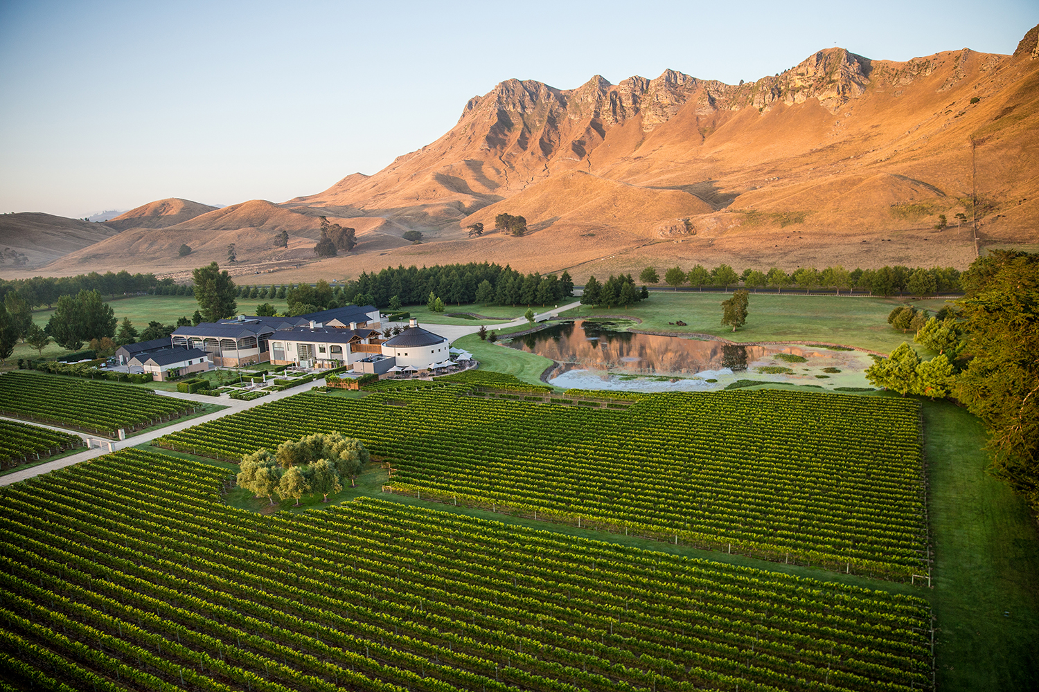 Craggy Range vineyard in Havelock North. Photo / Supplied