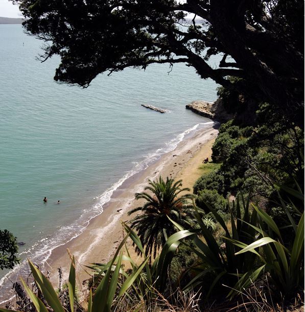 Wet Naked Beach Babes - Ladies Bay nudist beach: Sexual activity incident not a first - Auckland  community leader - NZ Herald