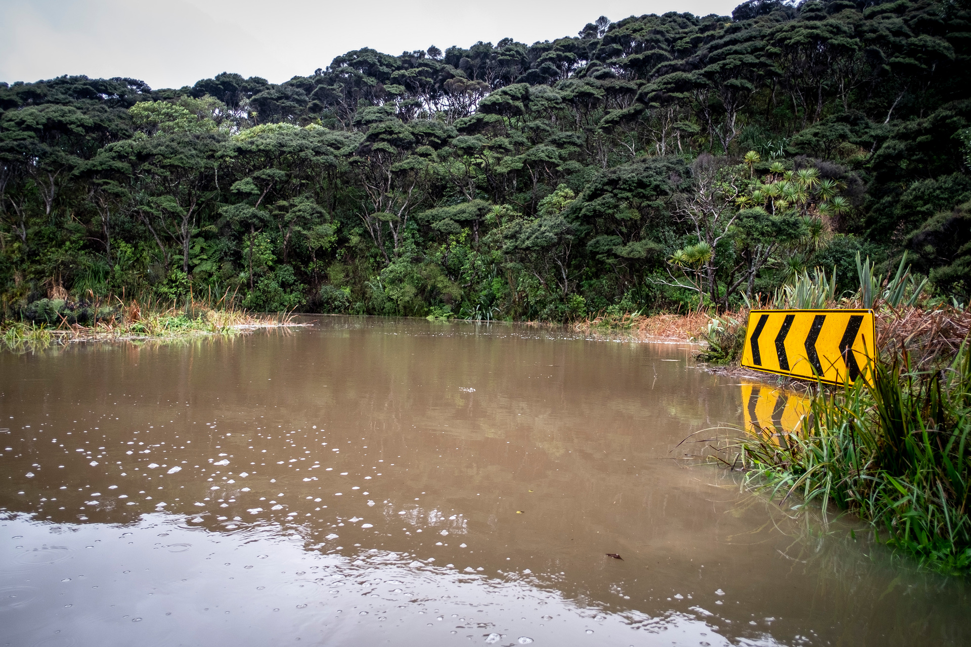 Flooding Te Henga, Bethells Road. Photo / Michael Craig