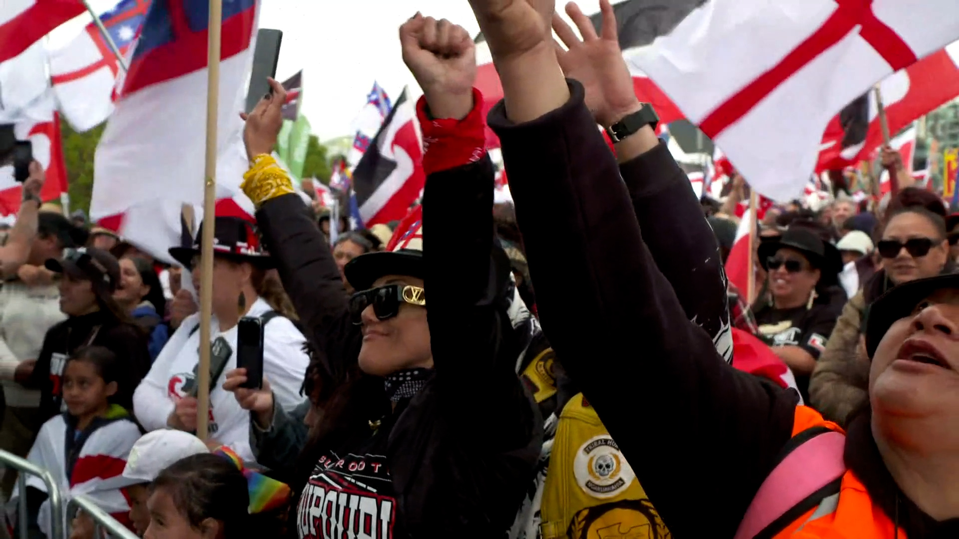 Hīkoi mō te Tiriti marches through Wellington to reach Parliament. Photo / NZME