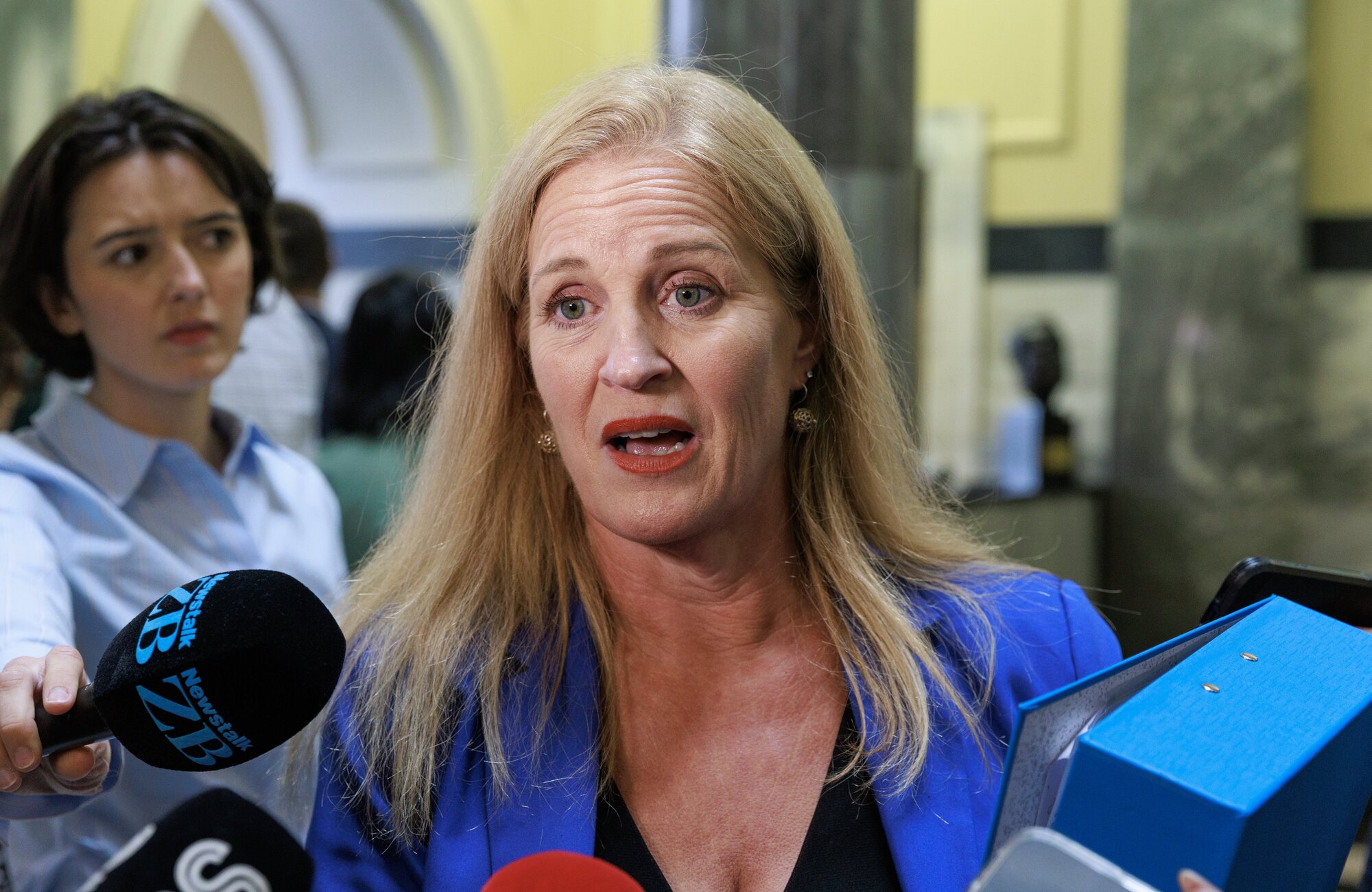 Social Development Minister Louise Upston. Photo / Mark Mitchell

