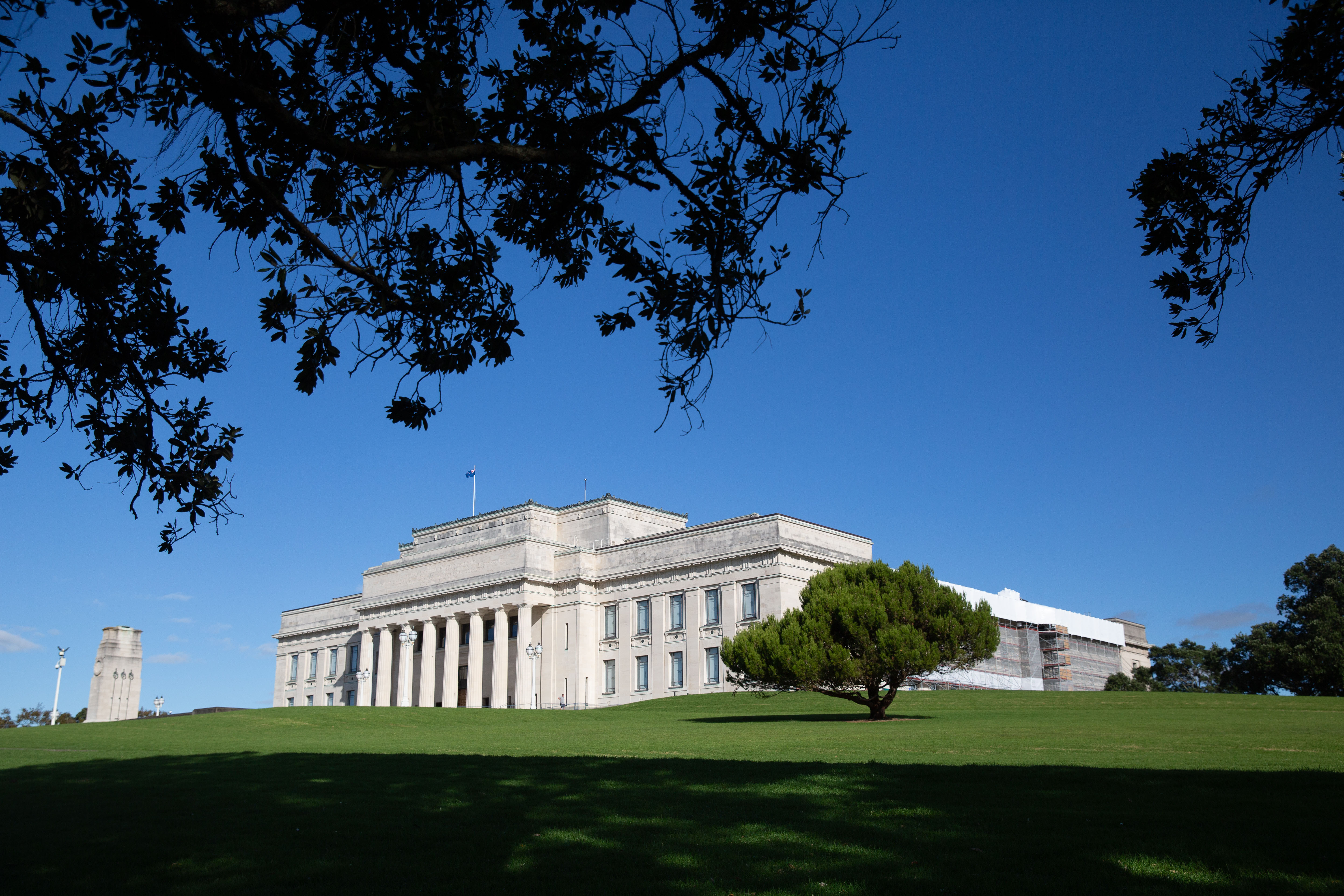 Aqua bats - Blog - Auckland War Memorial Museum