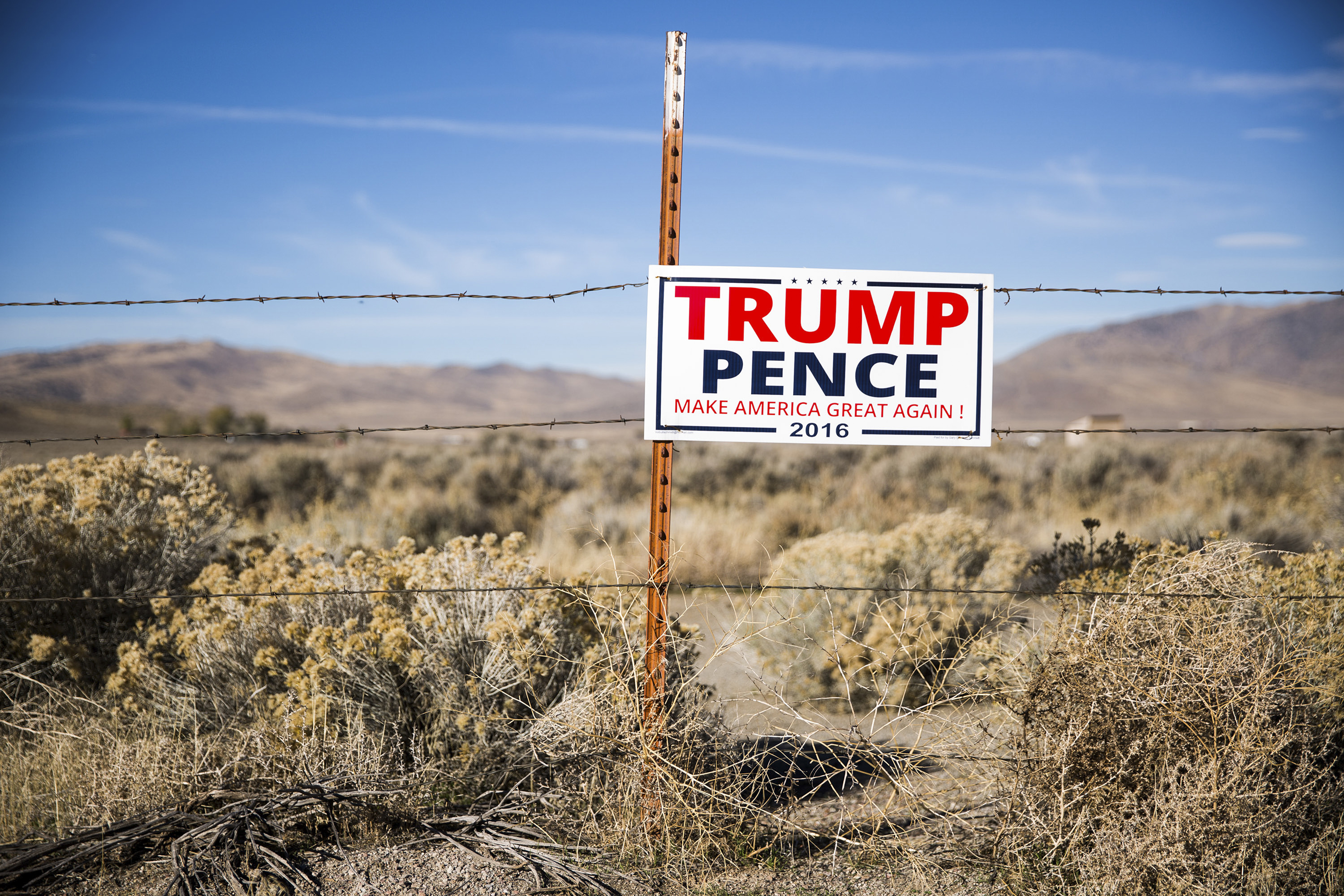 Leading up to the 2016 presidential election, Musk said that Trump was “not the right guy.” Photo / Max Whittaker, The New York Times