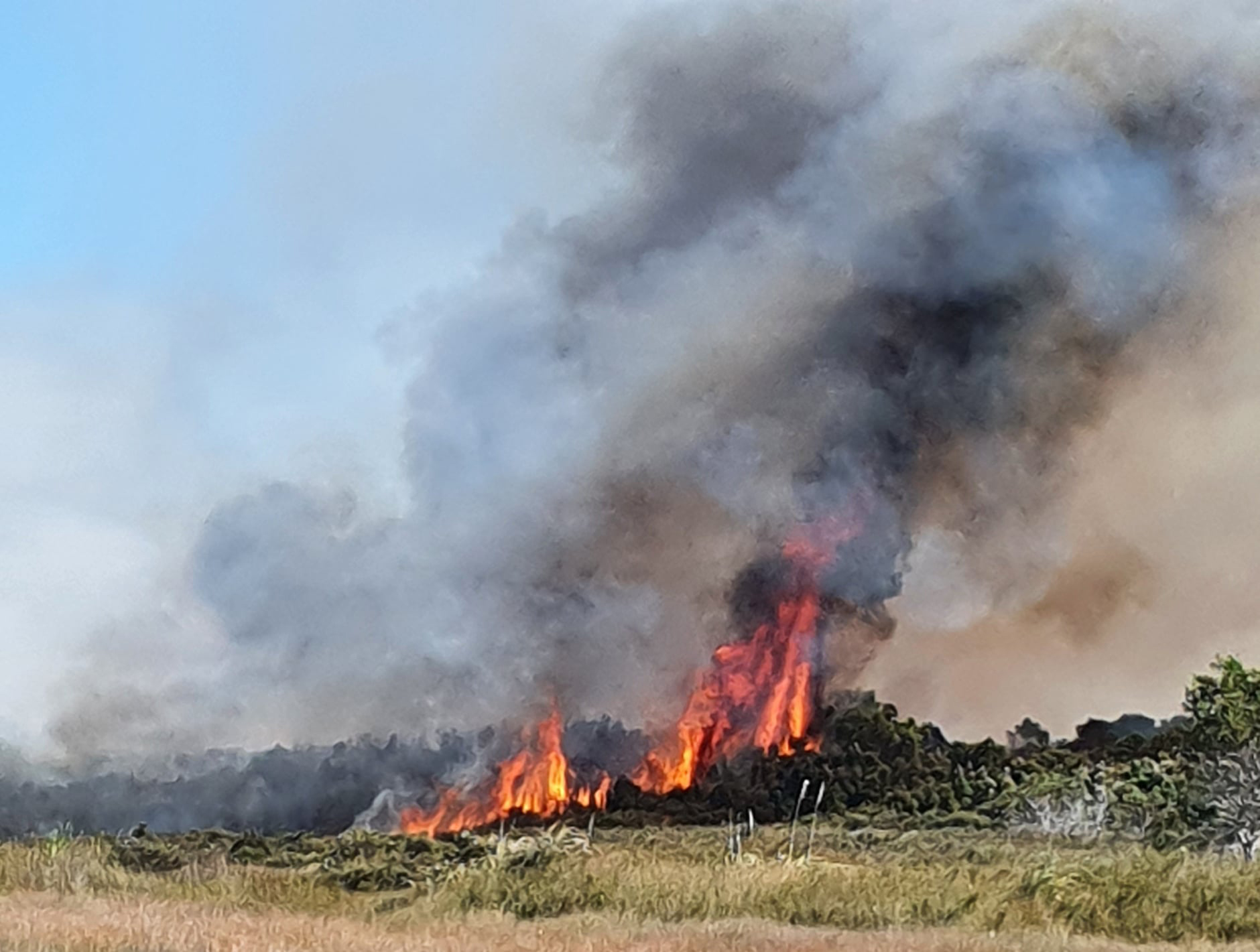 A fireworks ban is in place in parts of the Far North to reduce the risks of a wild fire as the region dries. This bush fire at Kaimaumau, in the Far North in January, 2021, covered hundreds of hectares and burnt for months