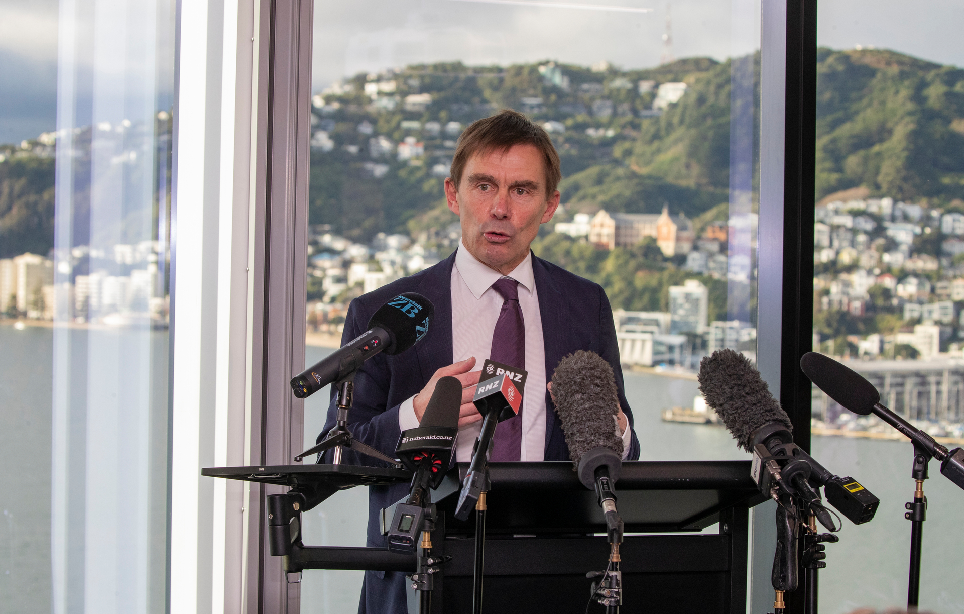 Wellington mayor Andy Foster. Photo / Mark Mitchell