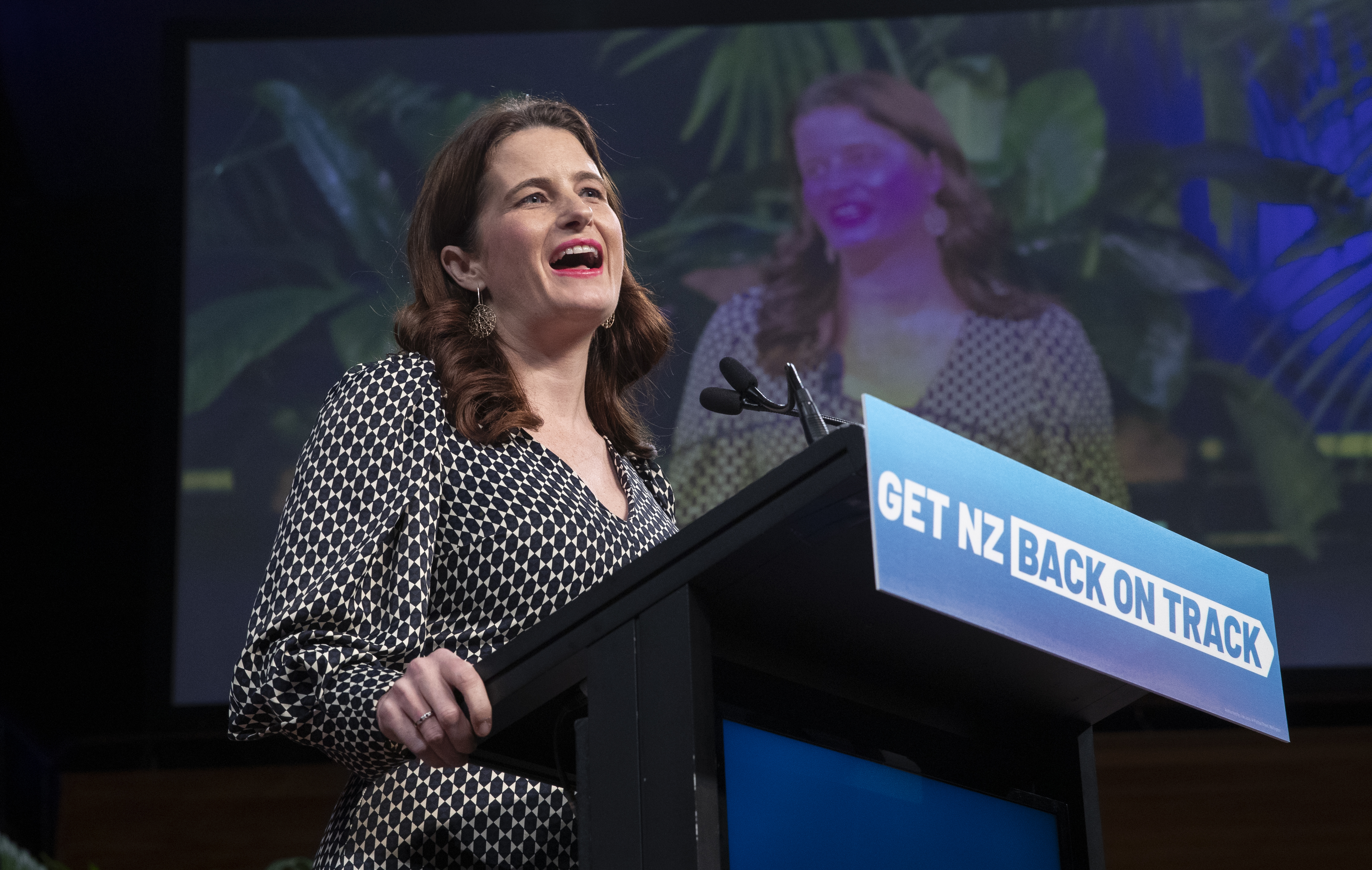 National deputy leader Nicola Willis. Photo / Mark Mitchell
