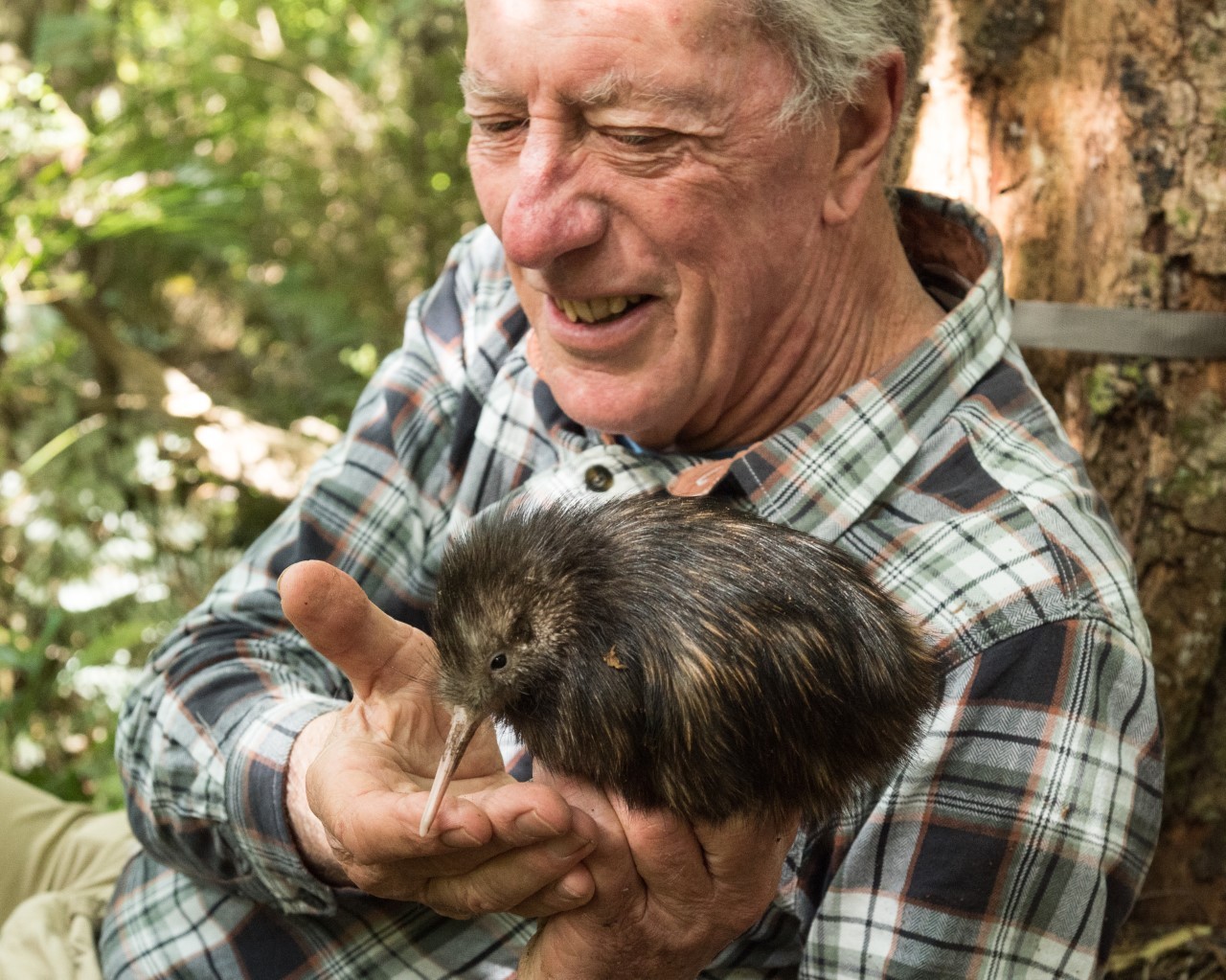 Professor John Craig, former dean of science at the University of Auckland, says native trees are our best carbon stores.