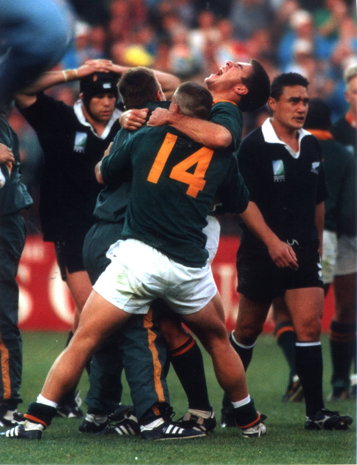 The result in the 1995 Rugby World Cup final was ecstasy for the Springboks and agony for the All Blacks. 