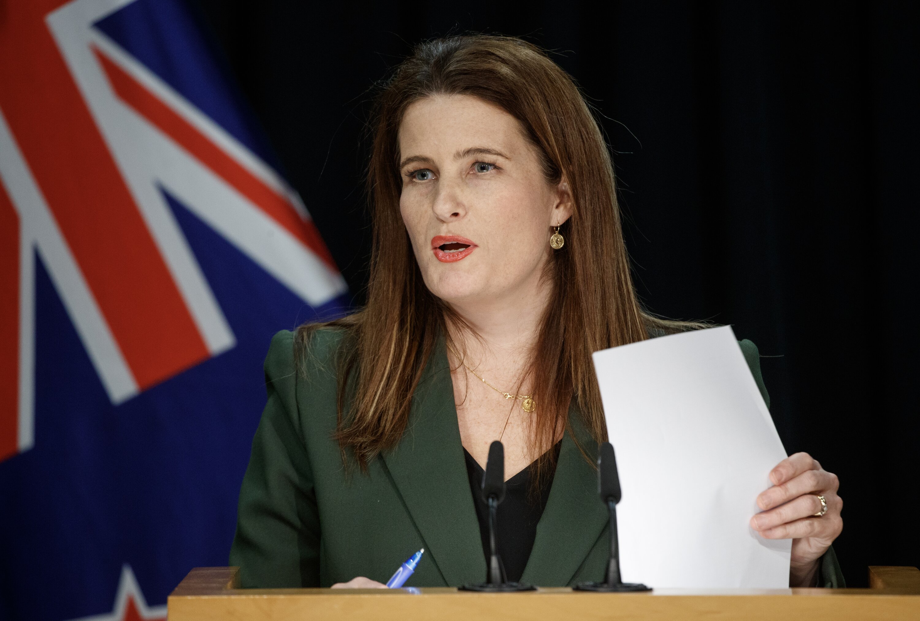 Treasury’s’ full advice to Finance Minister Nicola Willis has now been released. Photo / Mark Mitchell