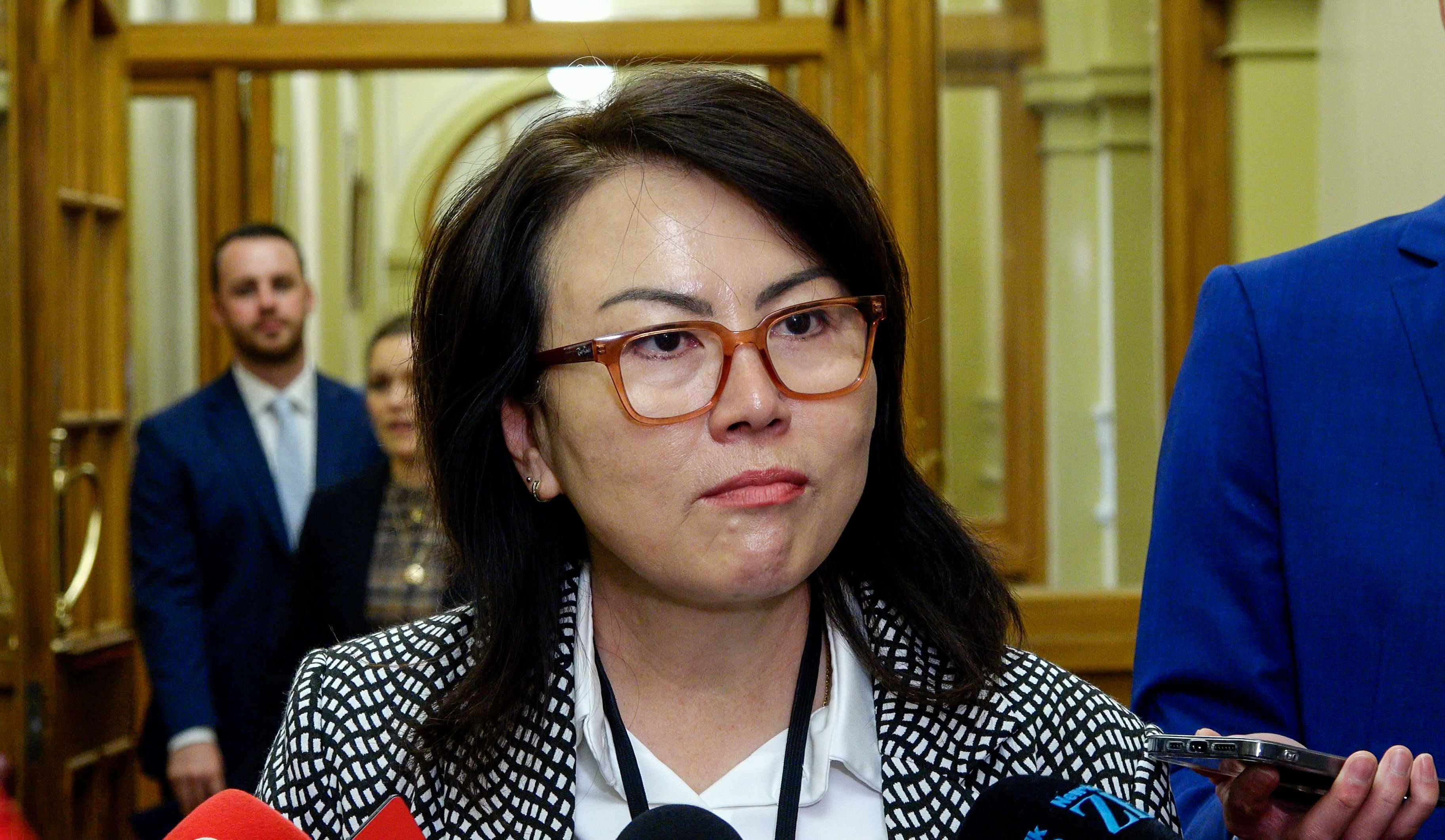 Melissa Lee talking about her demotion from cabinet in April. Photo / Mark Mitchell