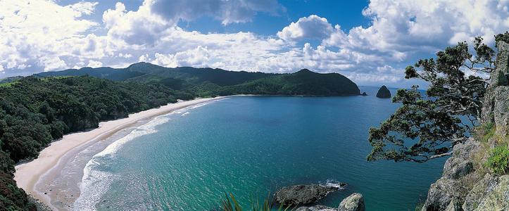 Wainuiototo New Chum Beach on the Coromandel Peninsula is considered one of the world's top 10 beaches and is a protected stretch of untouched land with no infrastructure. Photo / Destination Coromandel 