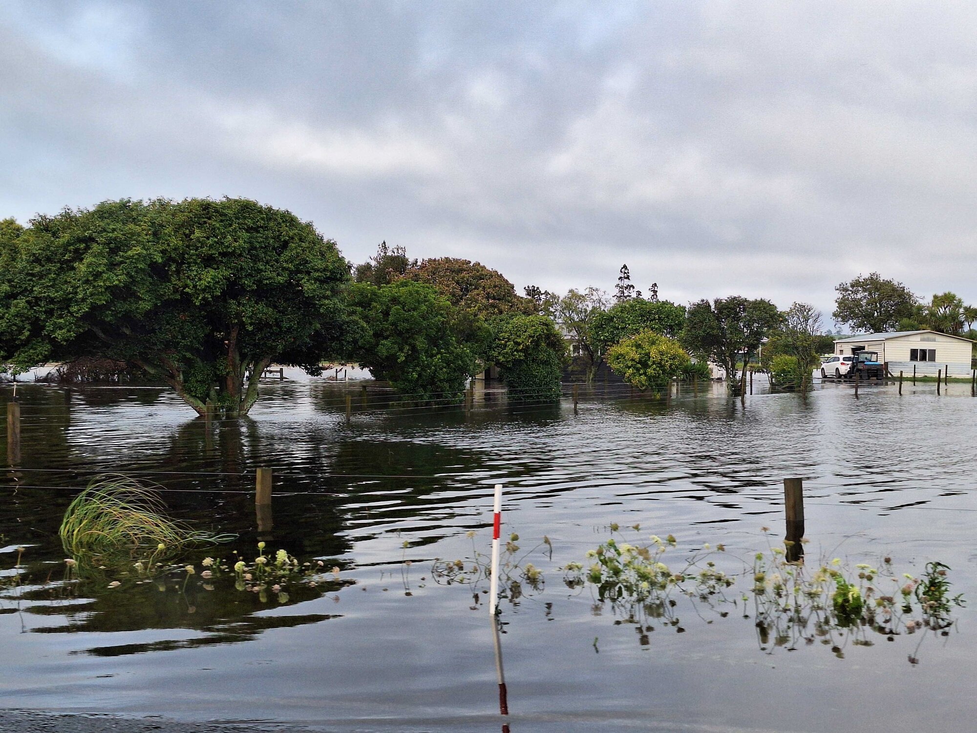 Only the tops of shrubs can be seen after flooding in the Bay of Plenty. Photo / Supplied