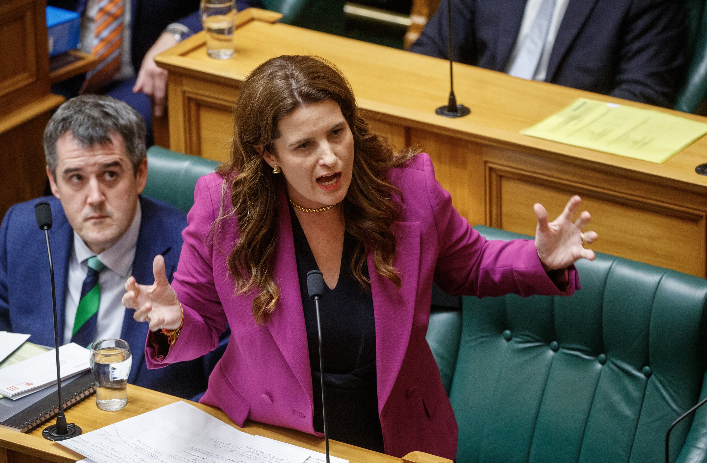 Finance Minister Nicola Willis. Photo / Mark Mitchell

