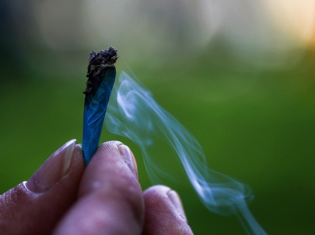 A strong substitution effect between cannabis and alcohol has been shown in a New Zealand-specific study. Photo / Hayden Woodward