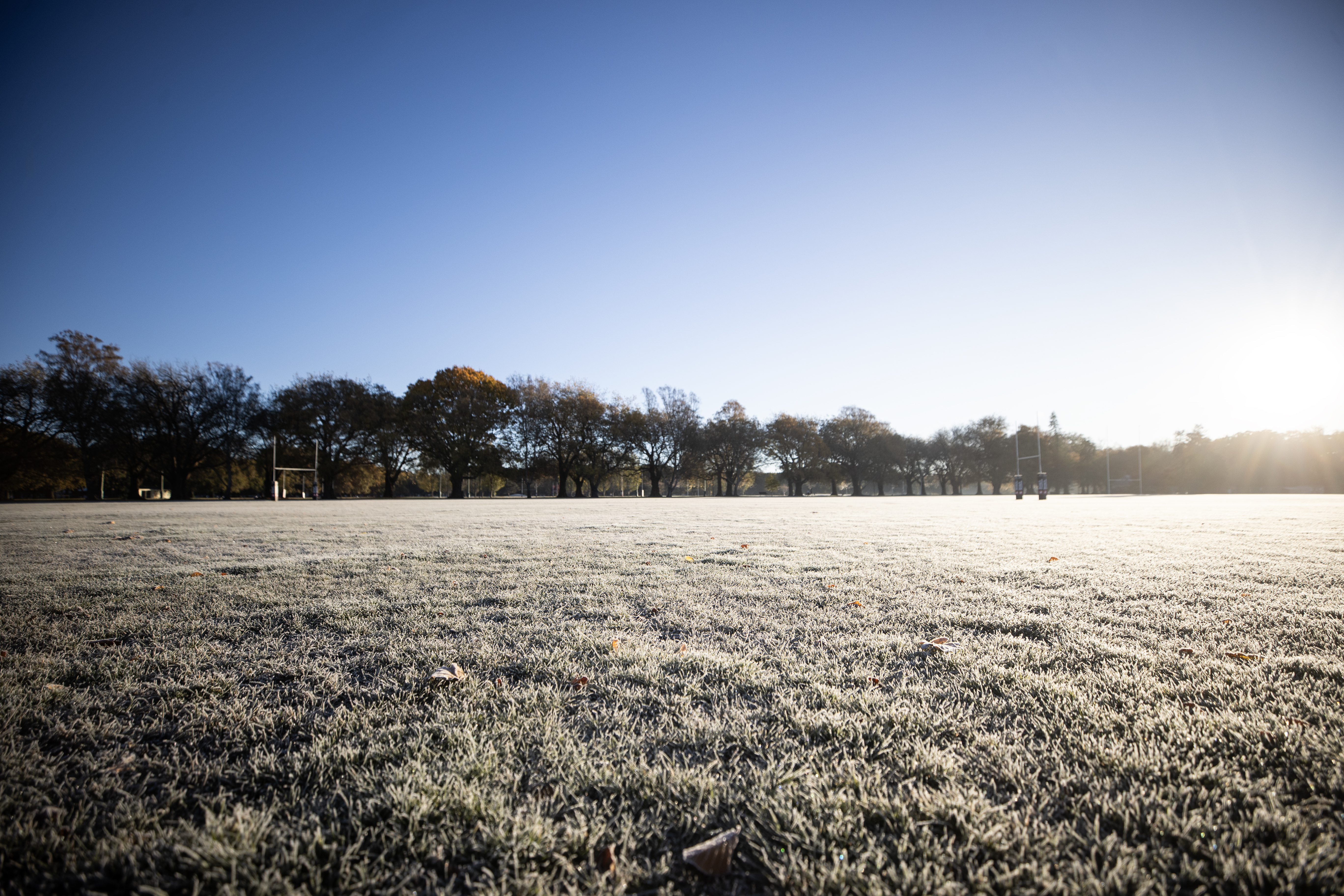 A frosty Hagley Park in Christchurch this morning. Photo / George Heard