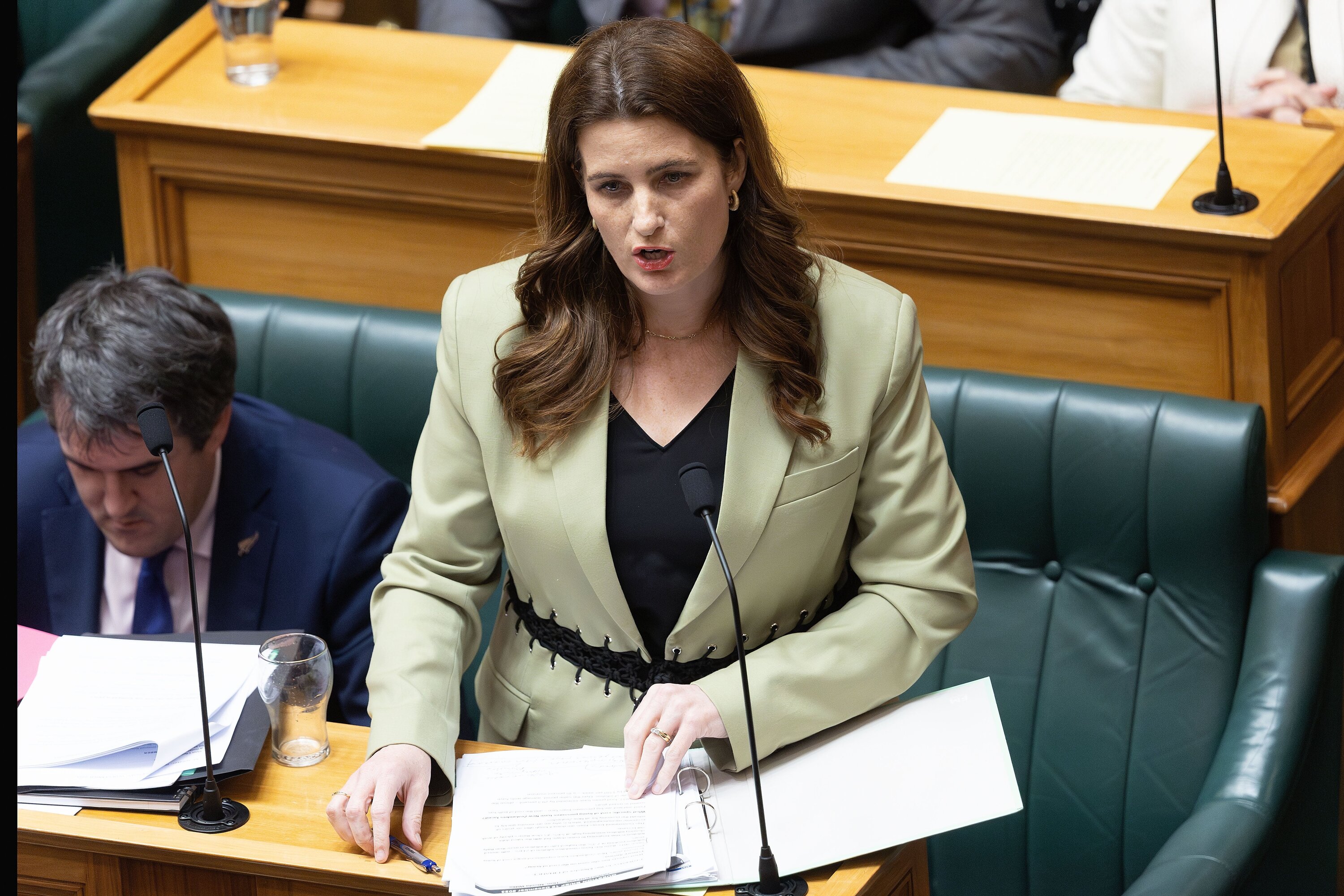 Minister of Finance Nicola Willis will publish her mini-Budget on Wednesday. Photo / Marty Melville  