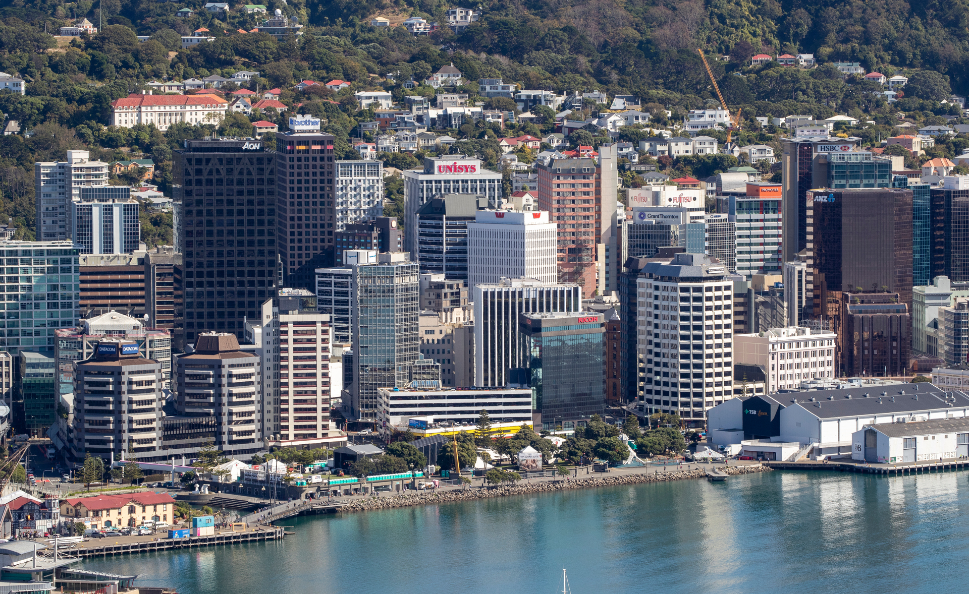 Wellington Harbour and the central business district. Photo / Mark Mitchell