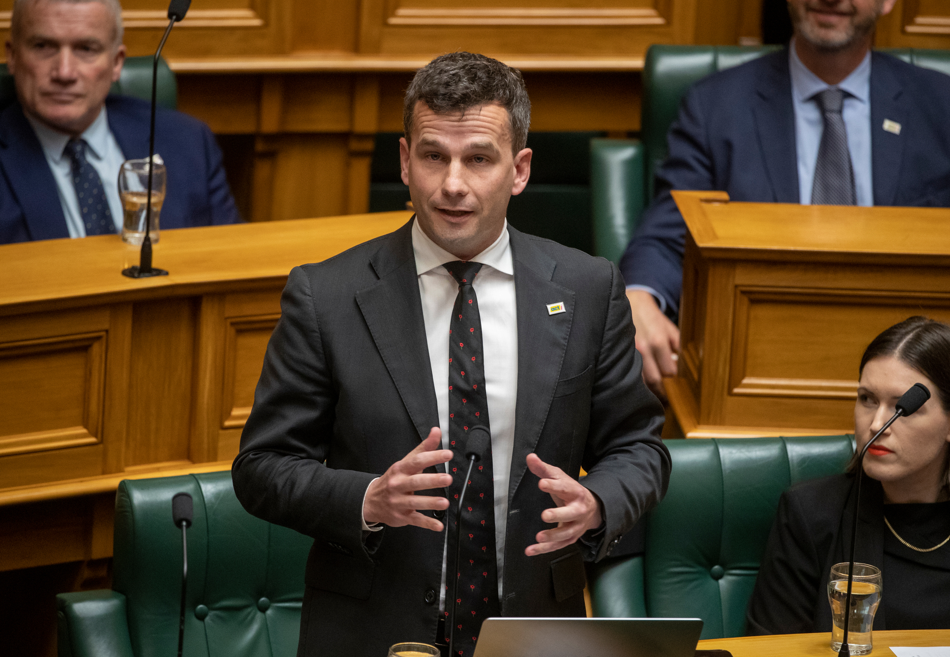 Act Party leader David Seymour has rallied against co-governance in Three Waters. Photo / Mark Mitchell