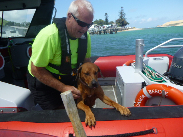 Ripley the dog returns safely to Opononi aboard Hokianga Rescue. Photo / supplied