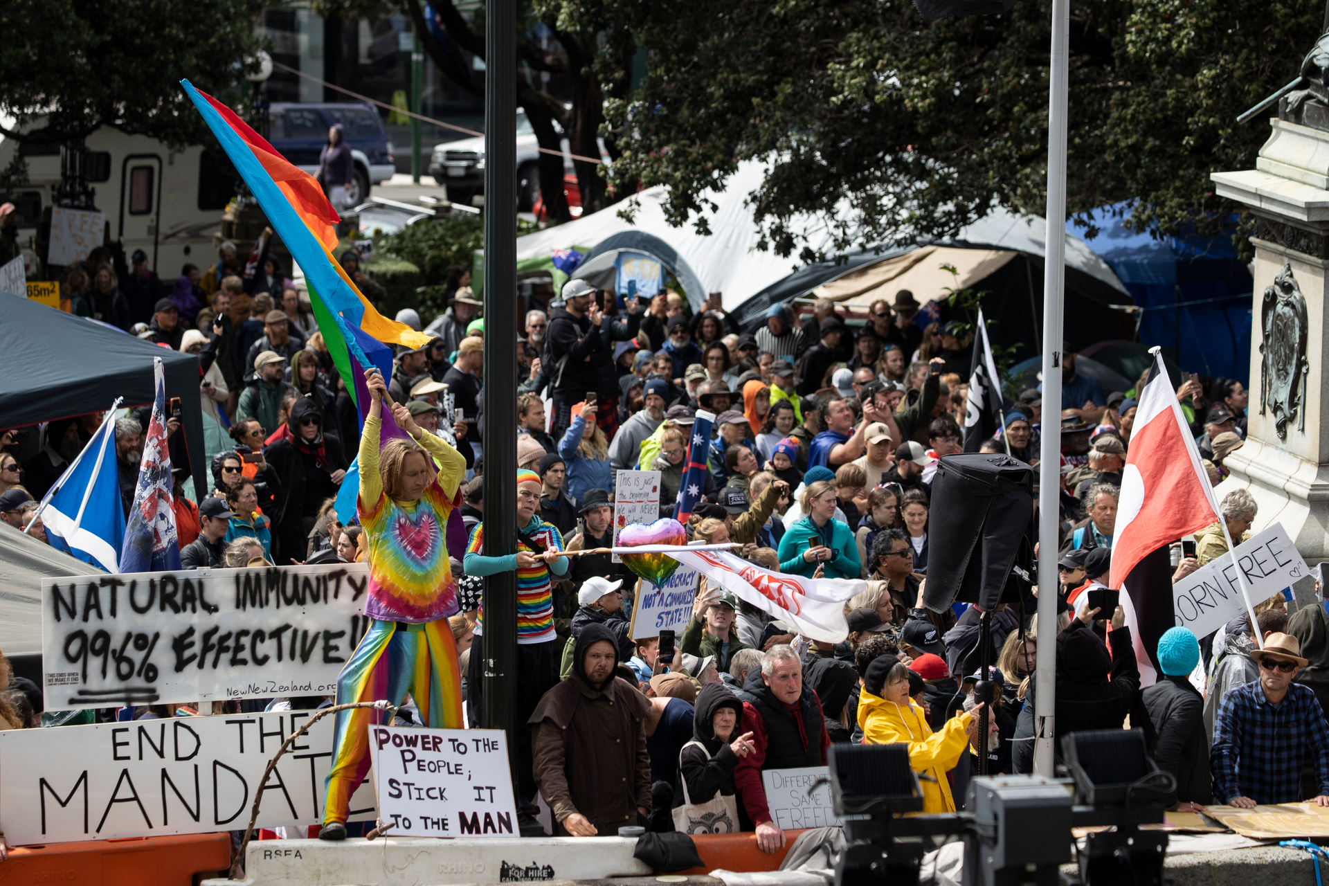 Signs carrying false and misleading information at the anti-mandate protest in Wellington. Photo / George Heard