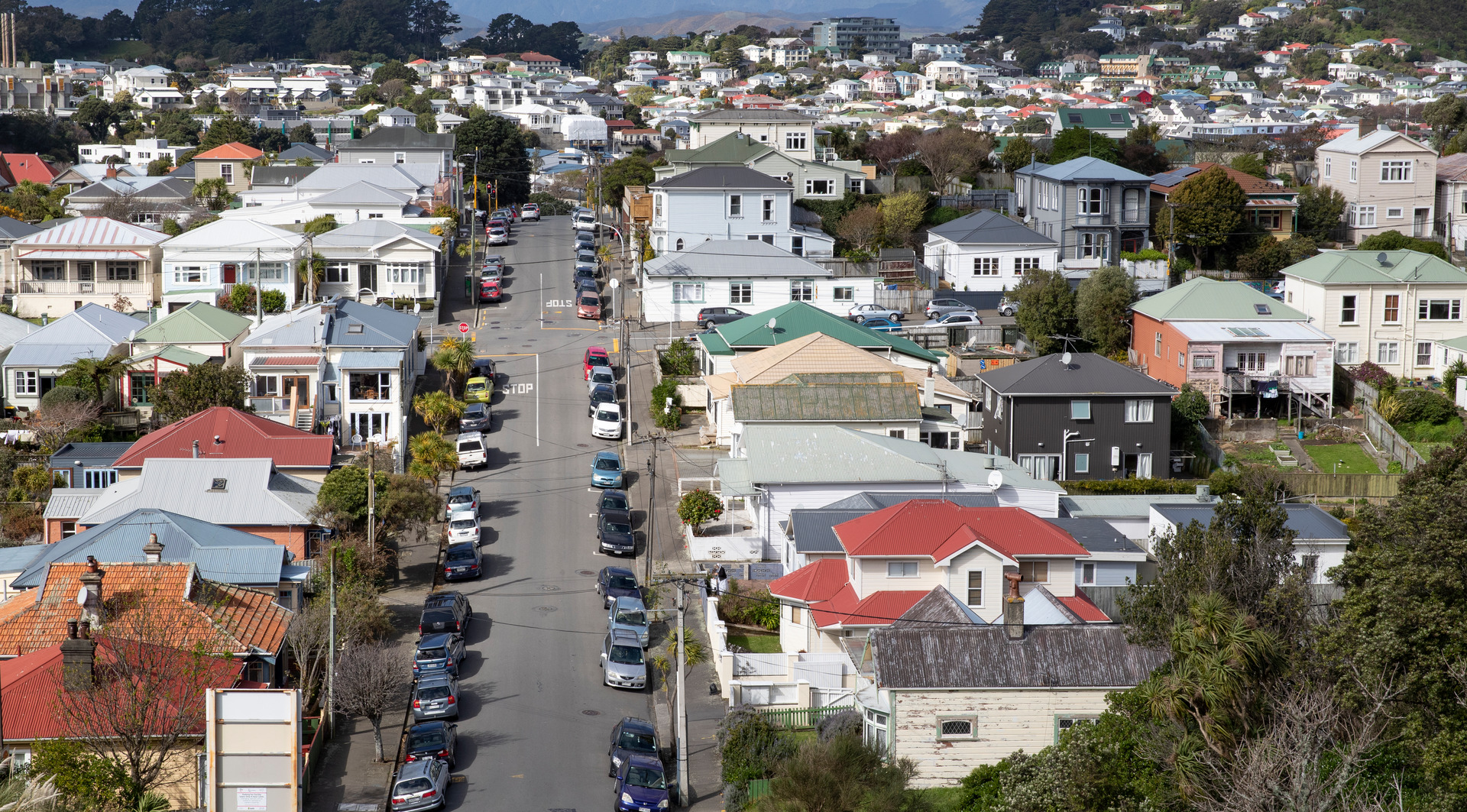 Wellington City Council received almost 3000 submissions on how and where the capital's growing population should be housed over the next few decades. Photo / Mark Mitchell