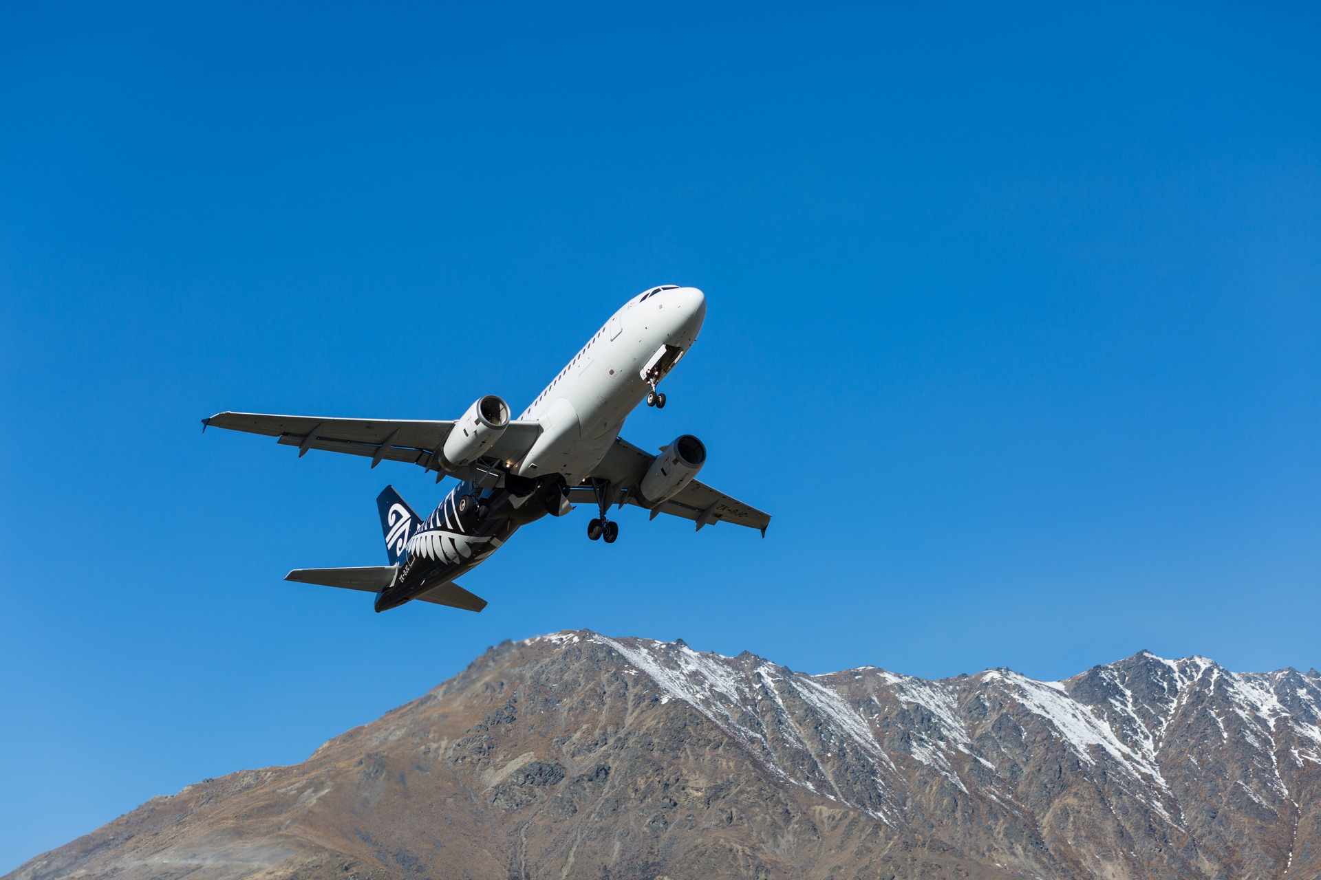 A homegrown sustainable fuel industry could power a quarter of domestic aviation. Photo / naruedom