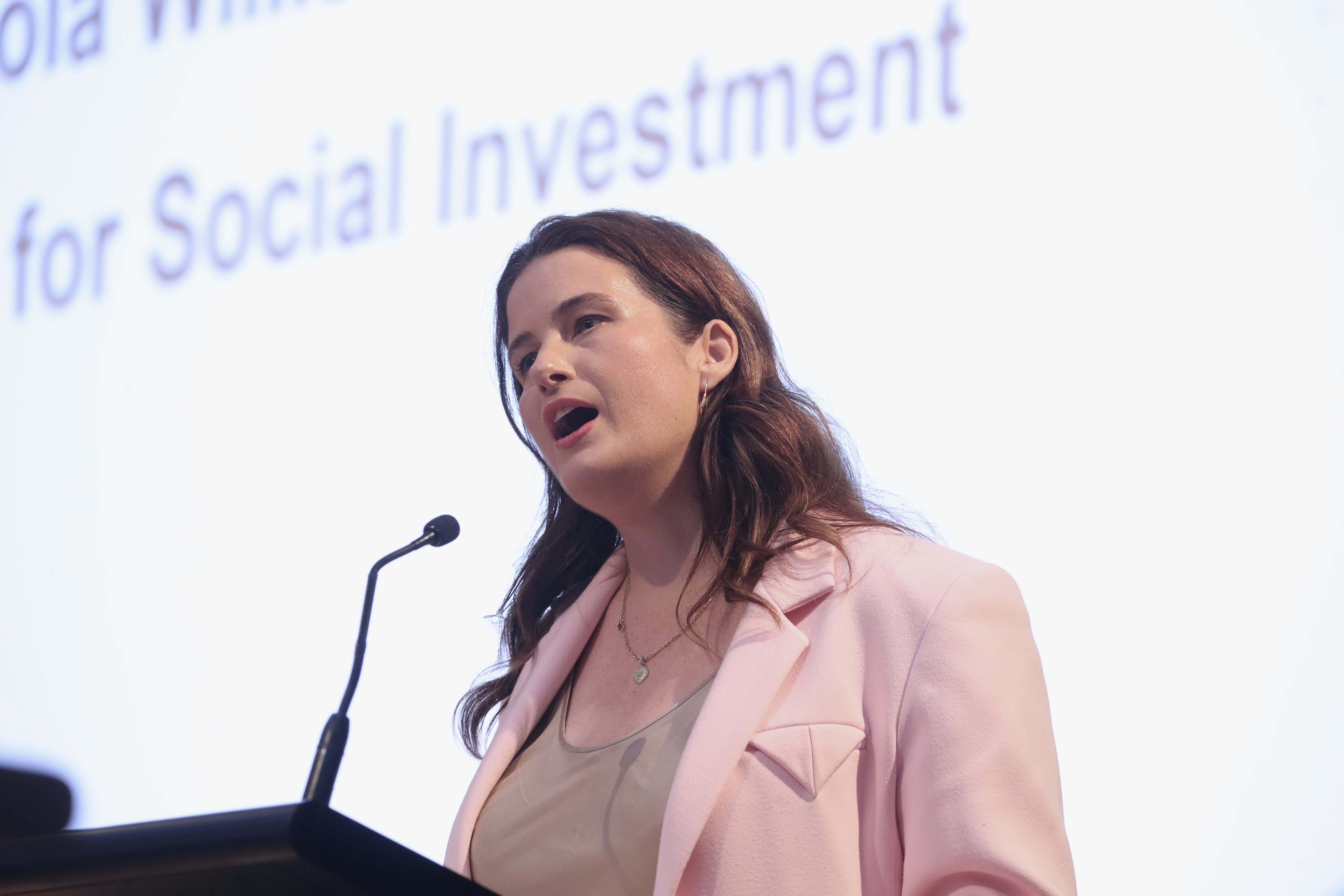 Social Investment Minister Nicola Willis used