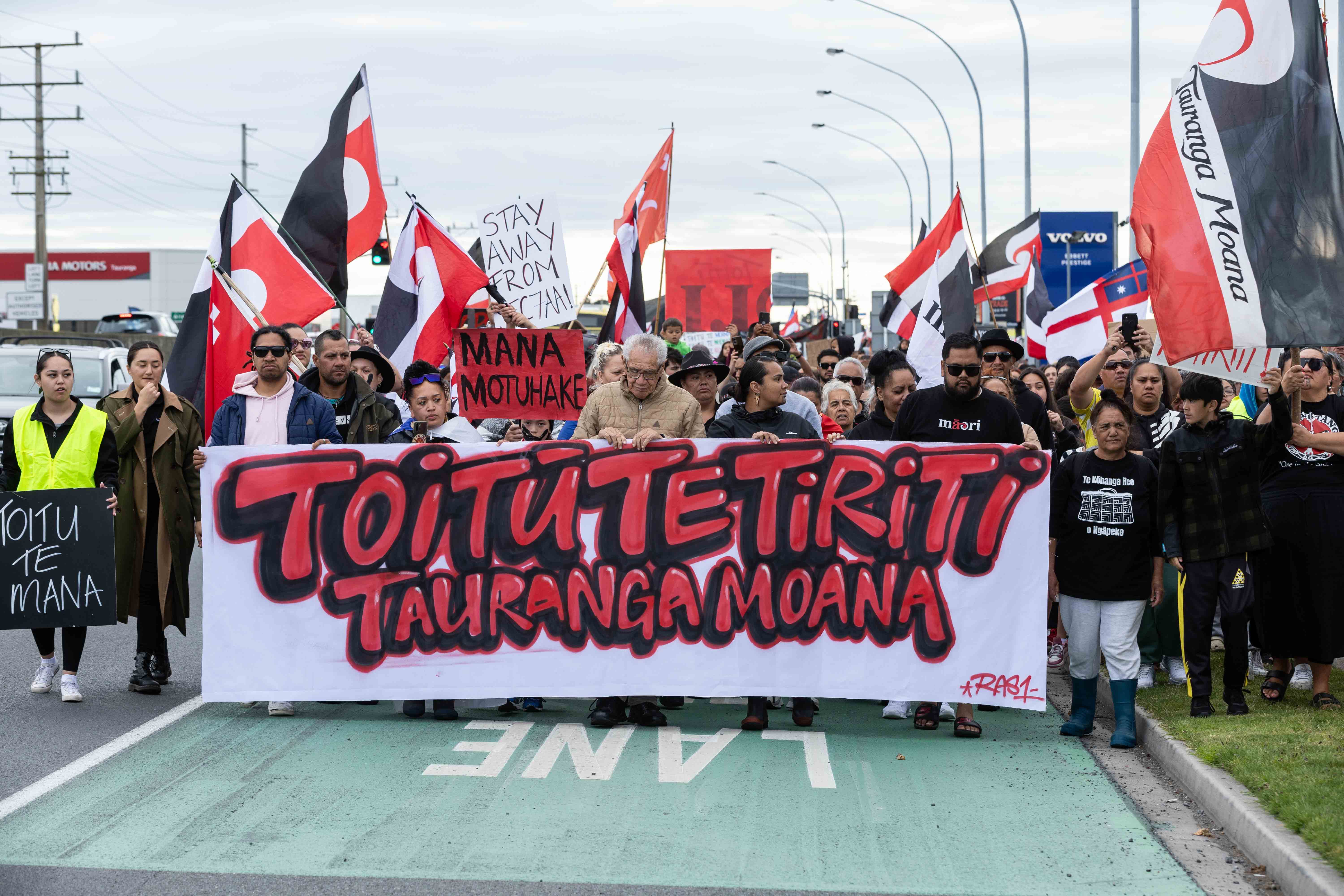 A crowd of about 500 iwi members and supporters met at Whareroa Reserve. Photo / Alex Cairns