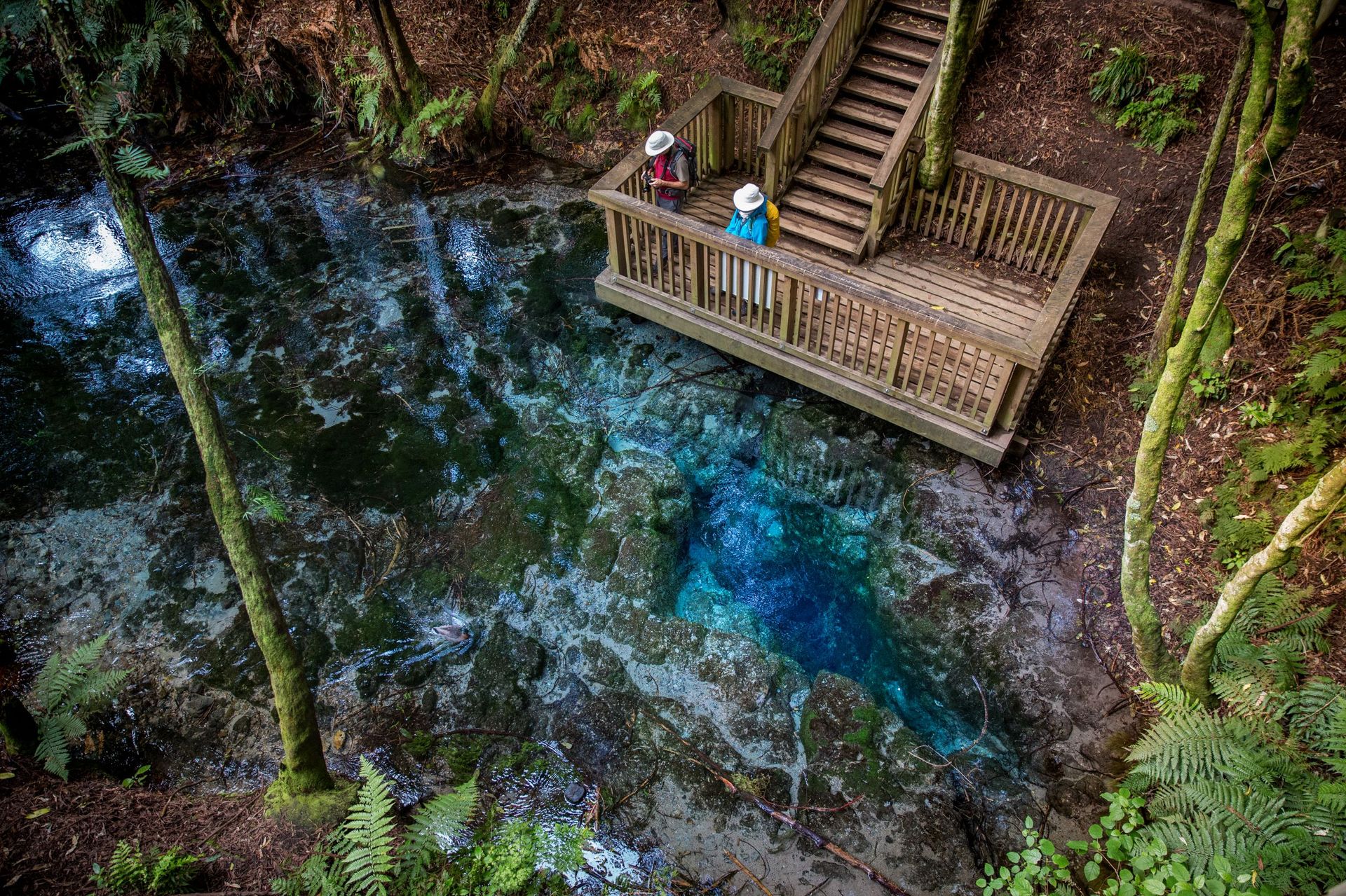 9 New Zealand places with unbelievably blue water - NZ Herald