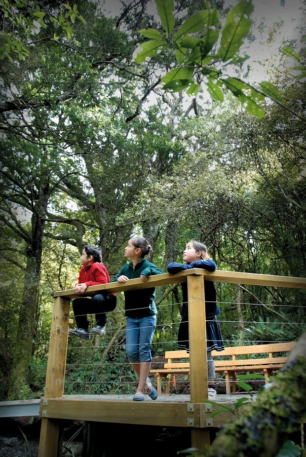 Orokonui Eco Sanctuary, Dunedin. 
