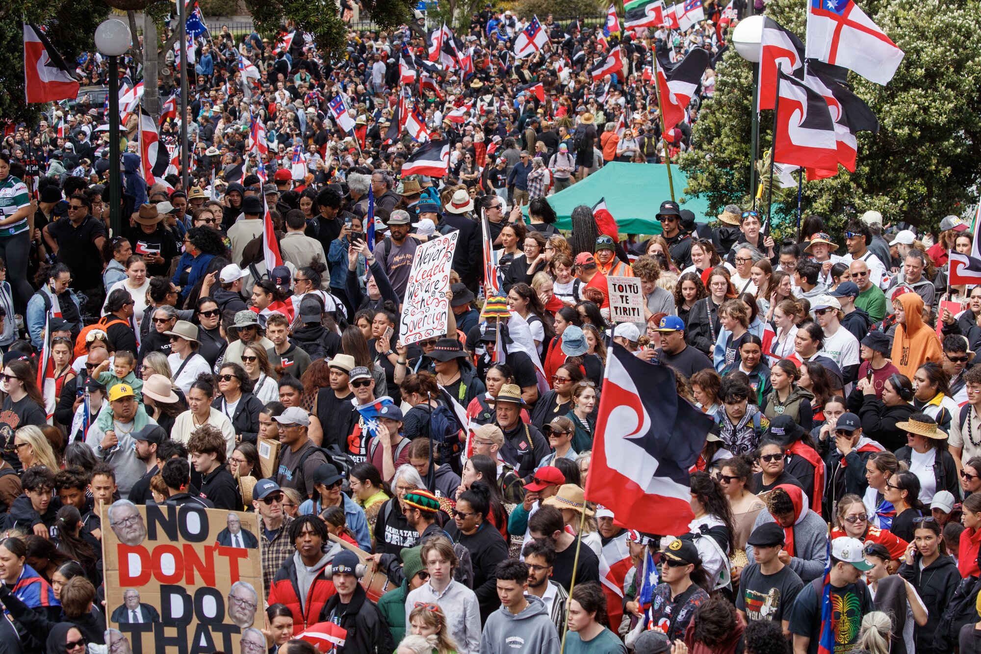Hīkoi mō te Tiriti protesters on Parliament grounds in November last year. Photo / Mark Mitchell