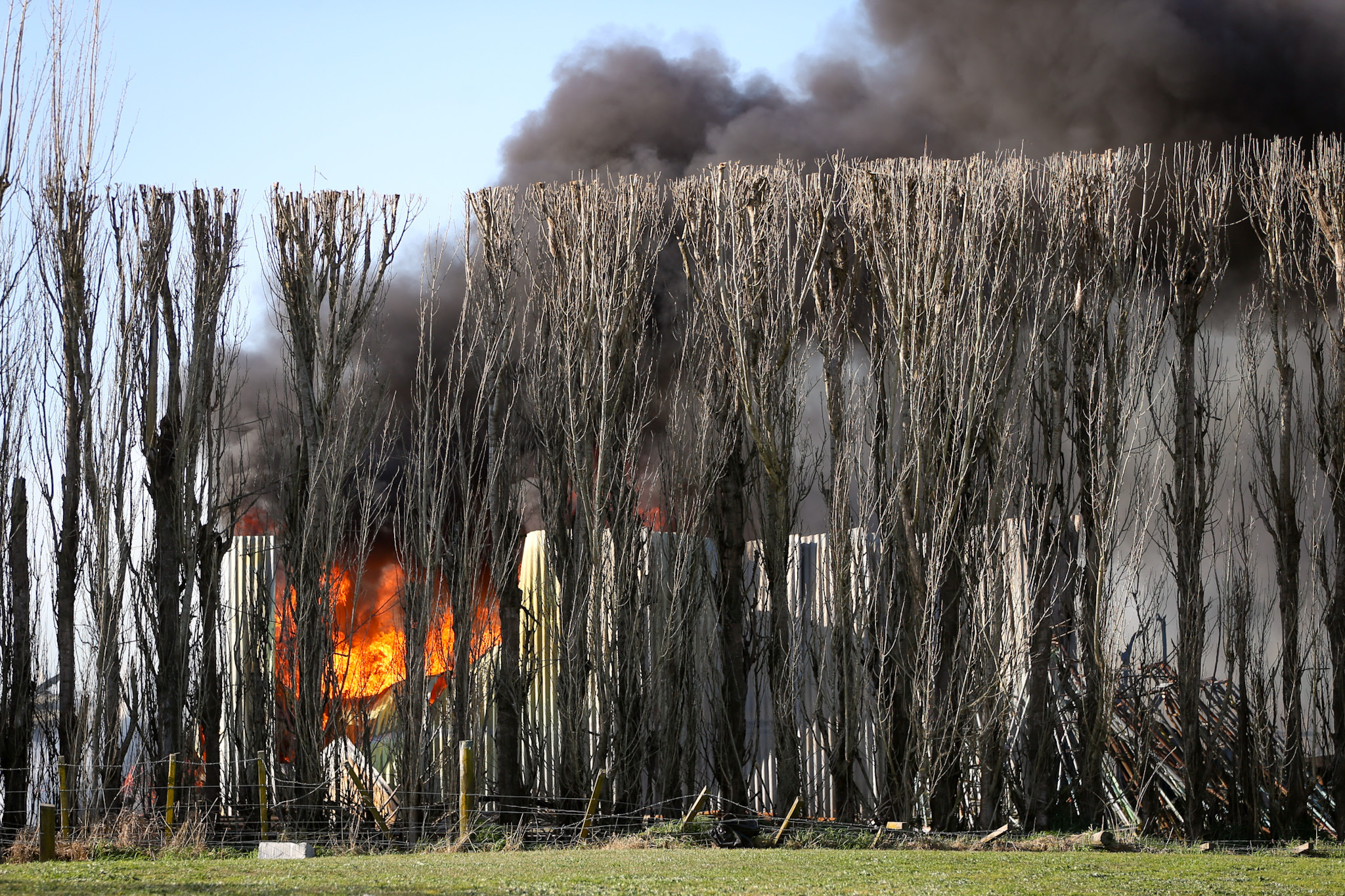 A large shed fire in windy conditions near Hastings on Sunday afternoon. Photo / Paul Taylor