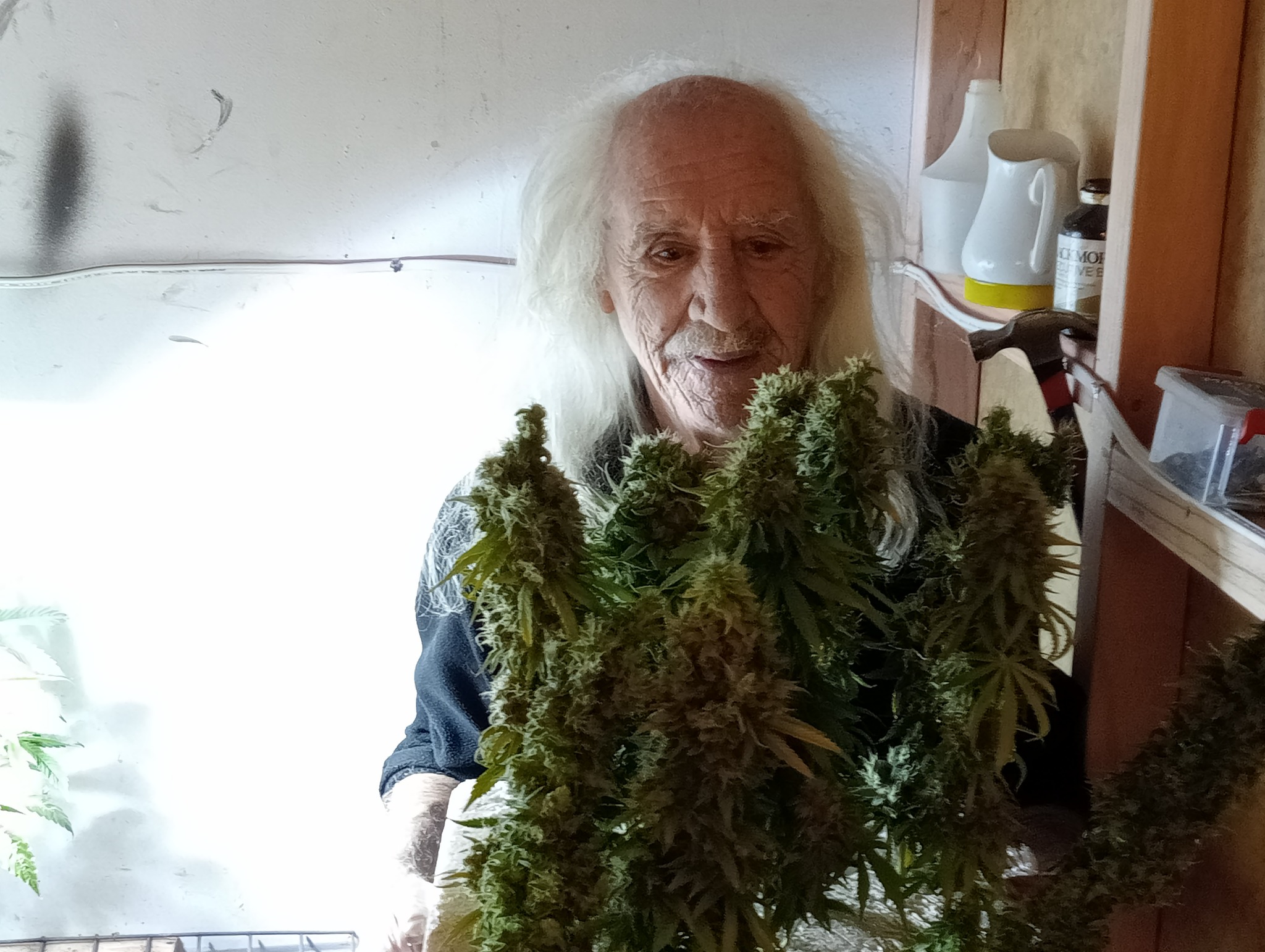 Brian Borland said he had been in the cannabis trade for nearly 50 years.  