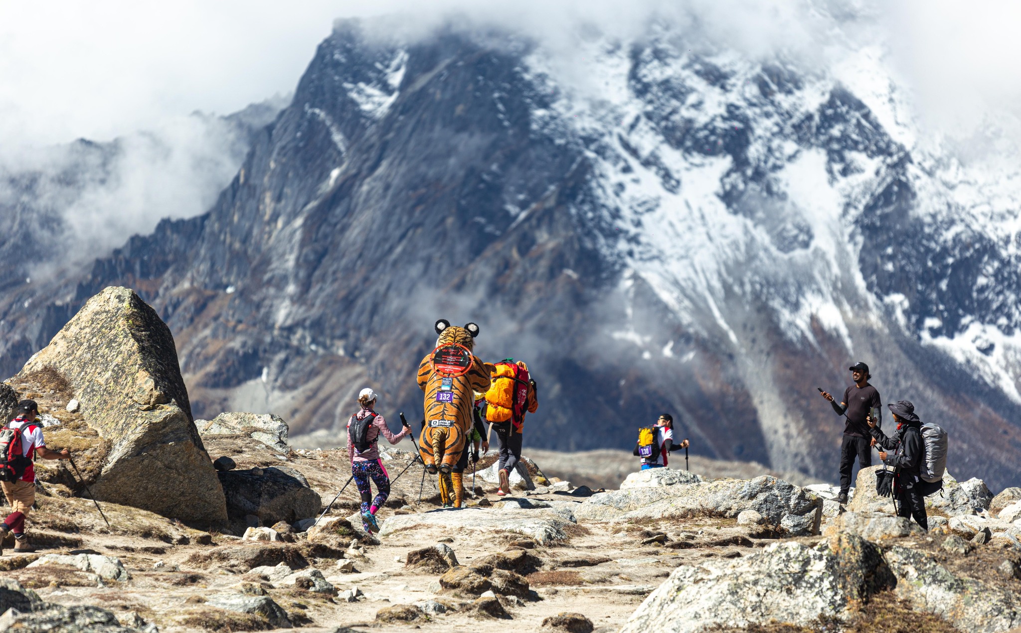Wildlife photographer and conservationist Paul Goldstein running the Everest Marathon course carrying a model tiger. Photo / The Tenzing-Hillary Everest Marathon, Supplied