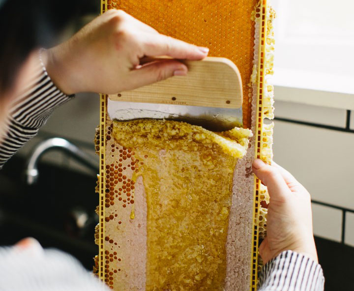 A little raw honey for sweetness or yoghurt for creaminess are good additions. Photo / Benjamin and Elise Photography.