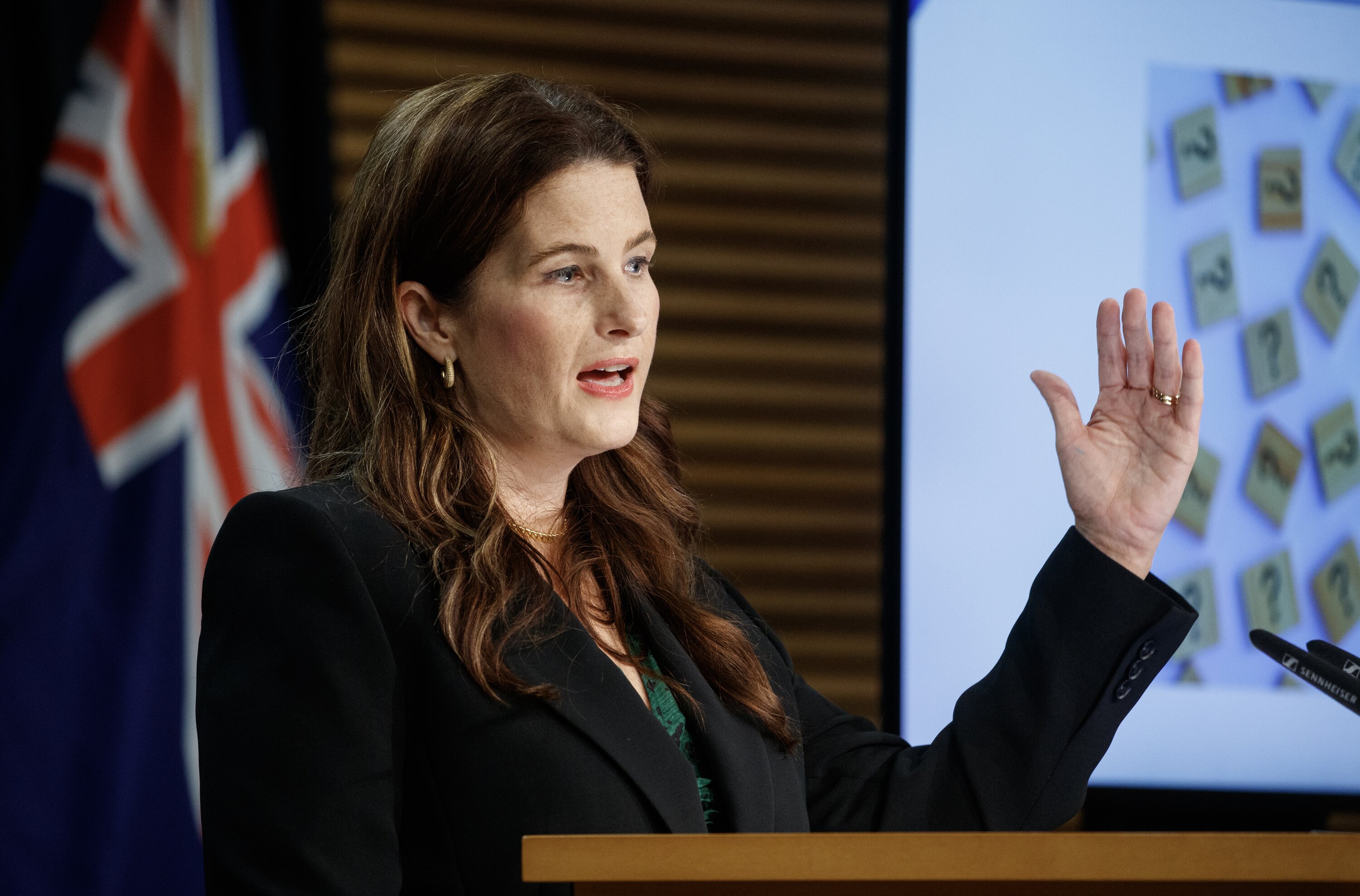 Finance Minister Nicola Willis says MFAT 
