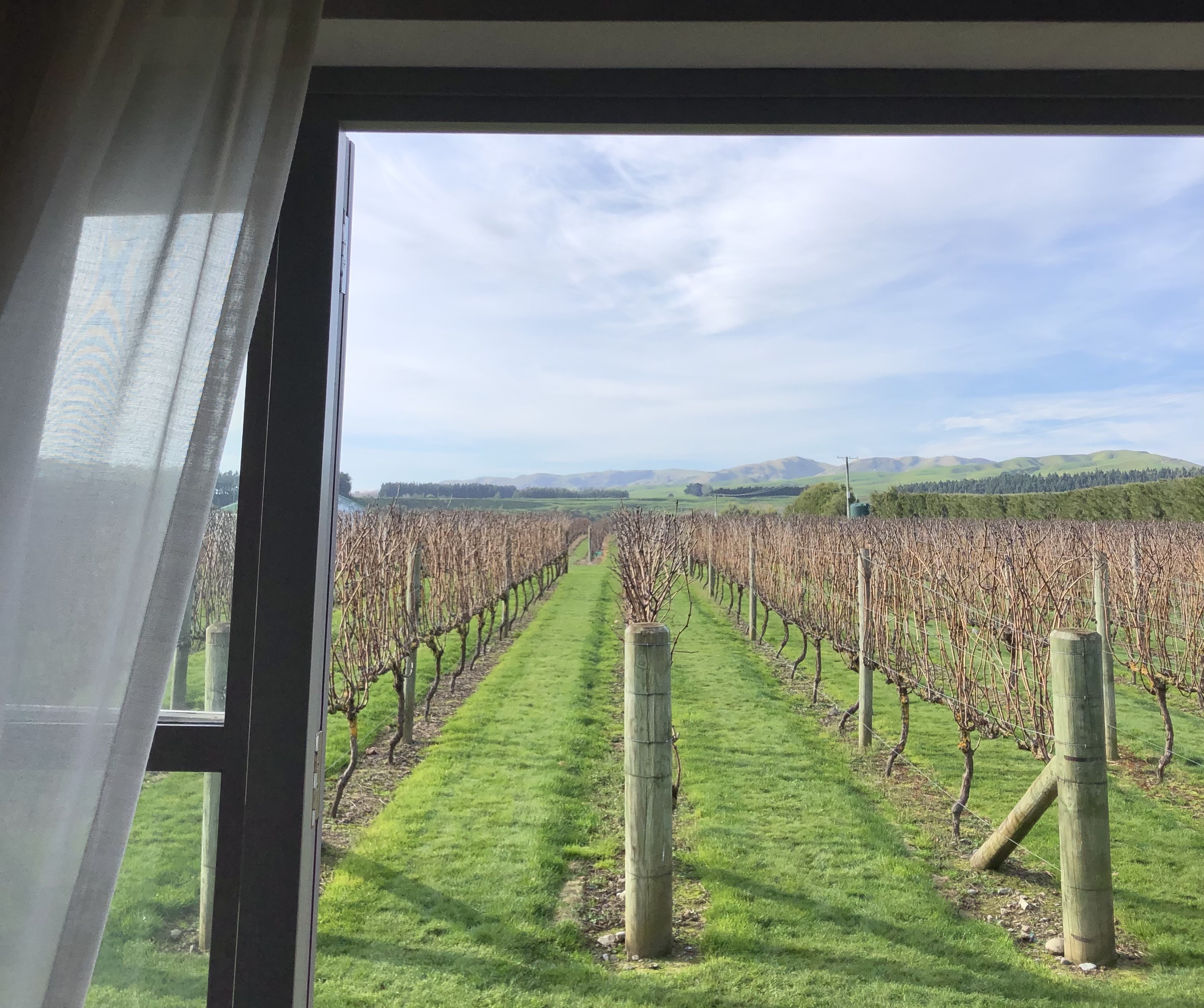 The view from Poppies in Martinborough at Matariki. Photo / Georgina Campbell