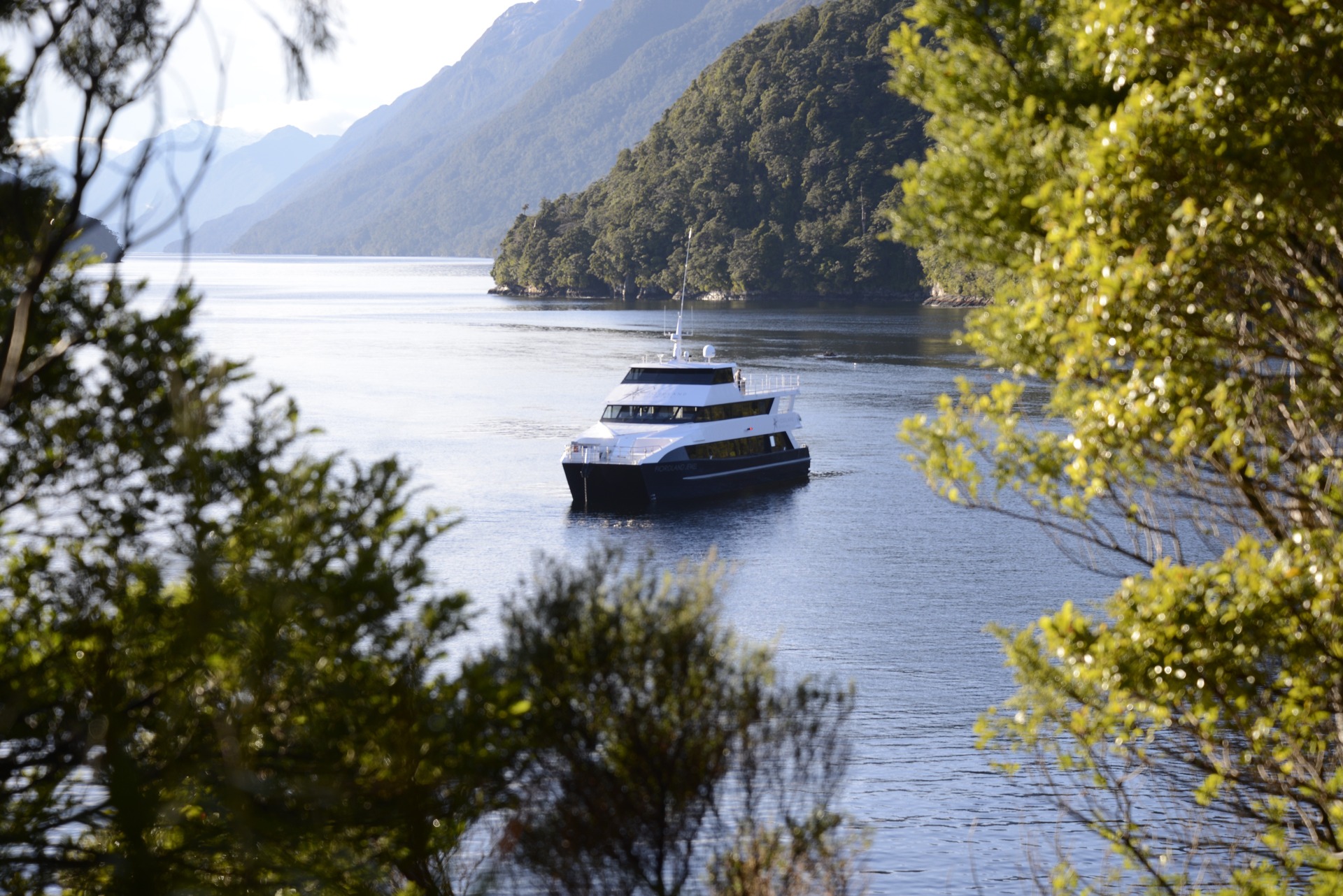 Fiordland Jewel, pictured at Pickersgill Bay in Doubtful Sound. Photo / Fiordland Discovery

For Travel - July 20